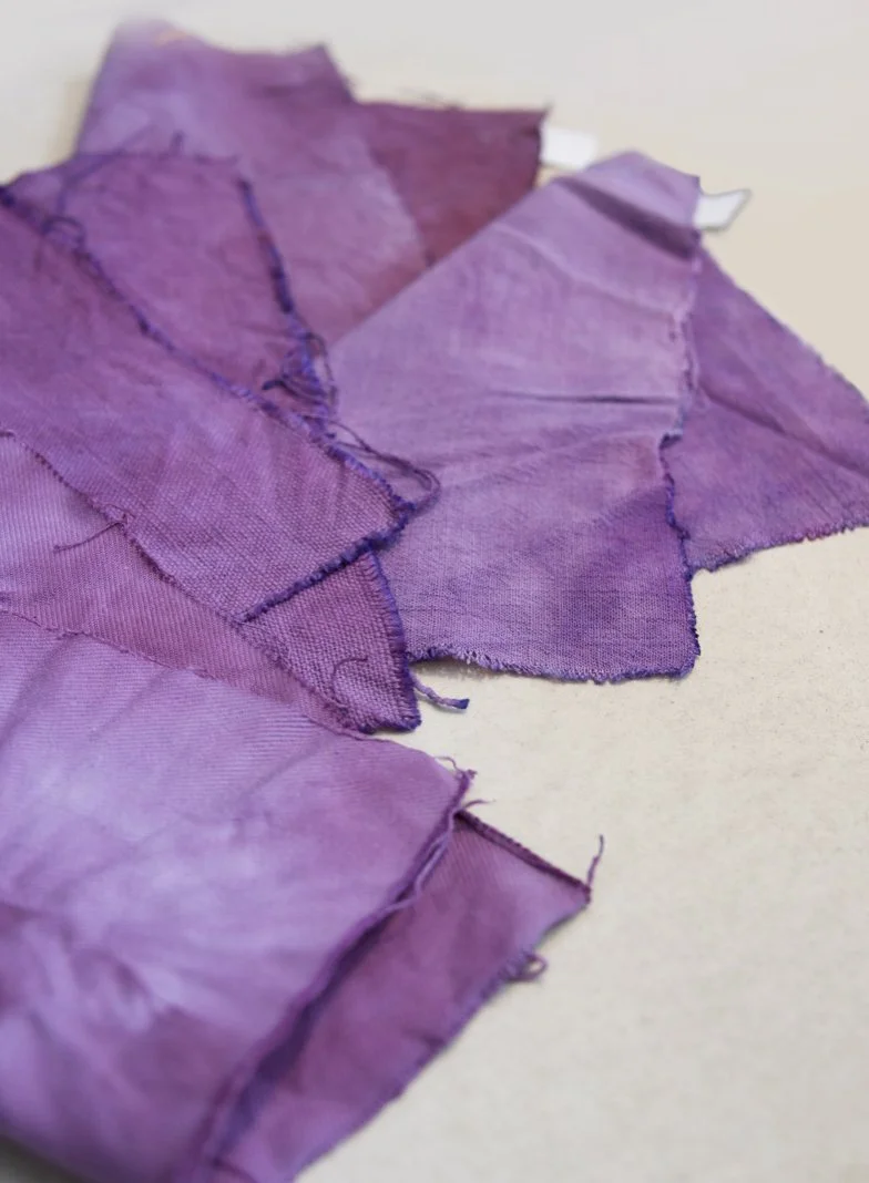 _DSC7318 Large copy.jpeg