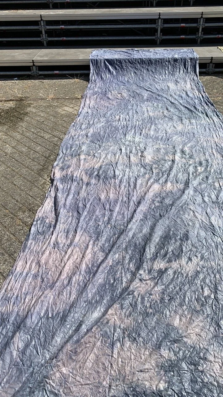 FullSizeRender 16 Large.jpeg