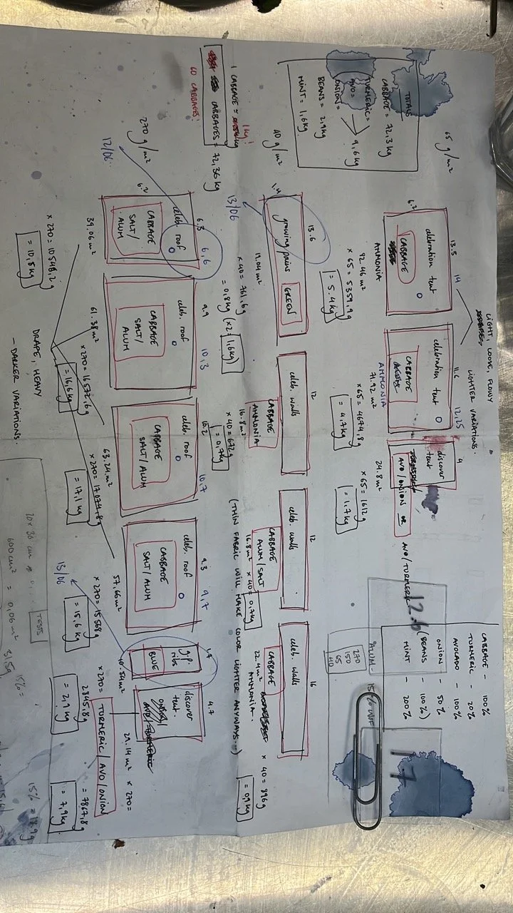 57FCC870-8A28-45F7-82CB-6E64447D773A Large.jpeg