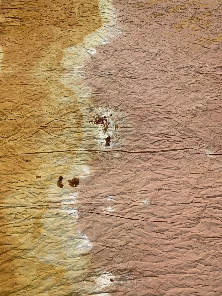 eb516a2d-1f05-4c8e-b78c-ac23f2a0ad3c Large.jpeg