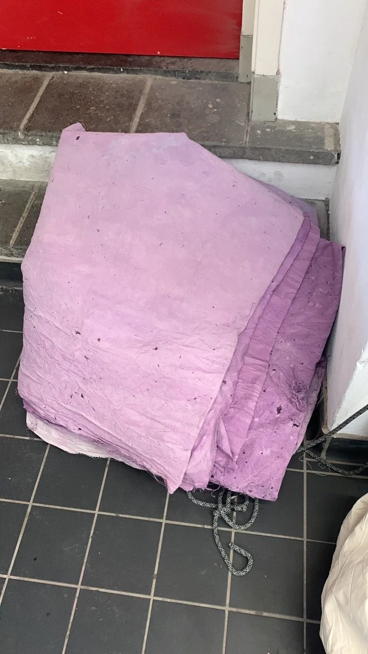 849D4514-E2AF-4FB2-A257-F4FF84036F14 Large.jpeg