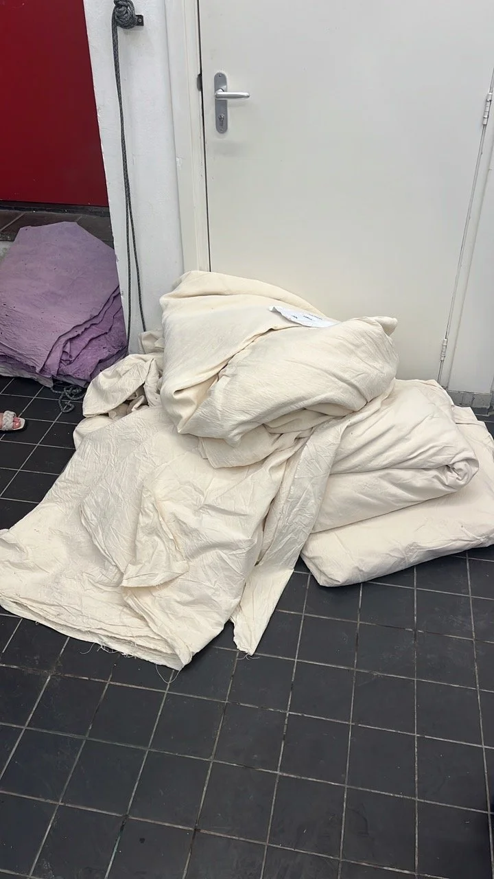 E1C3C447-3B32-4EE7-81CF-39C3C6343915 Large.jpeg