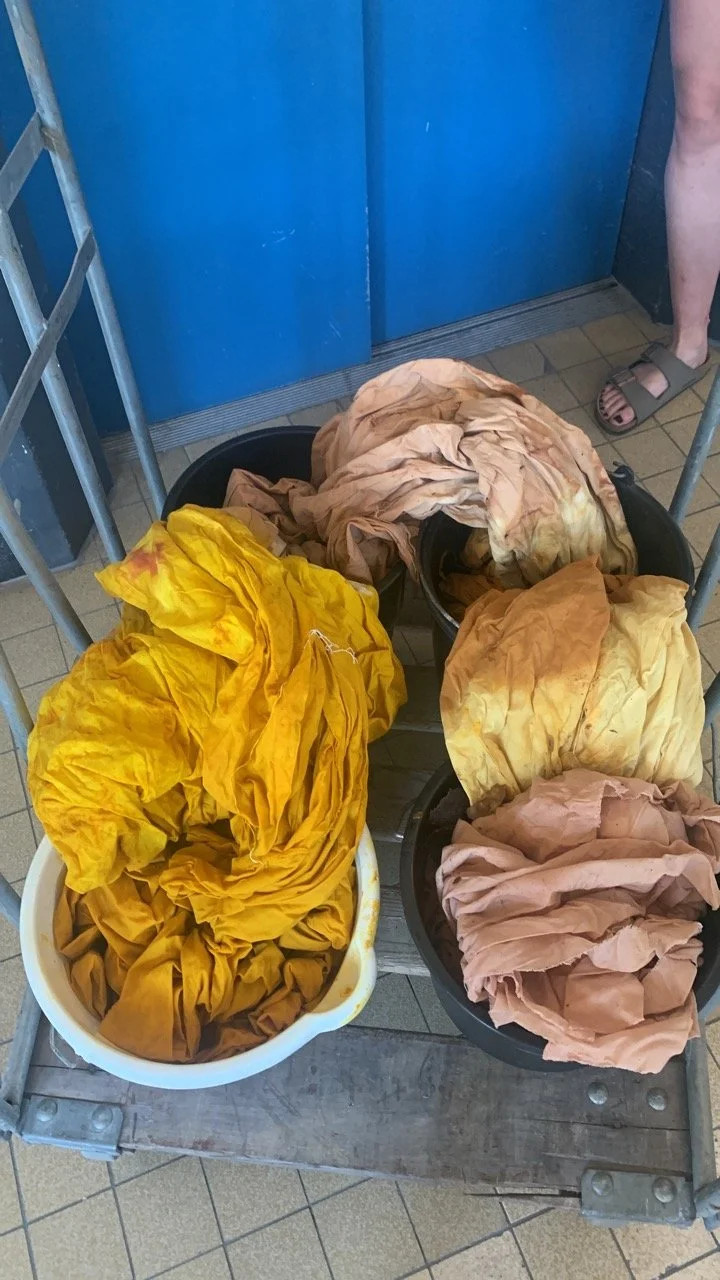 4A8EFBD2-E2B2-45A1-B02E-BC8EDBA031AF Large.jpeg