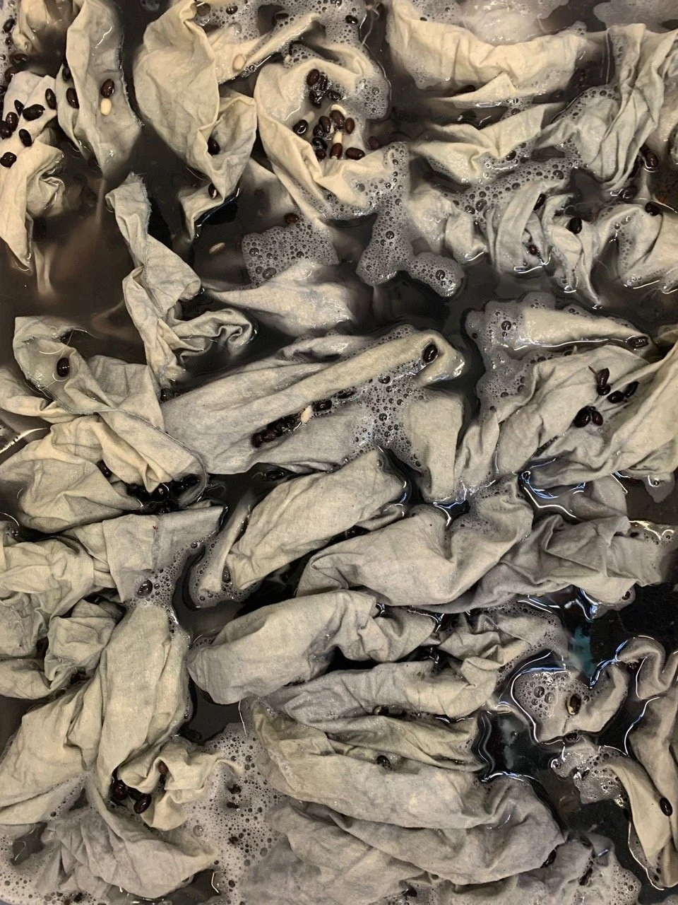 45dc8910-9e15-4b91-af9d-d380205e9a74 Large.jpeg