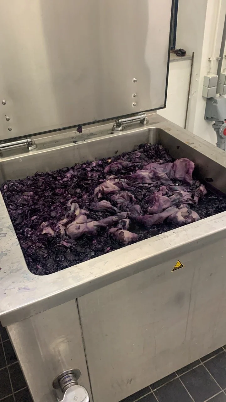 63780A0E-516C-4532-84BD-6B7EFBEAA217 Large.jpeg