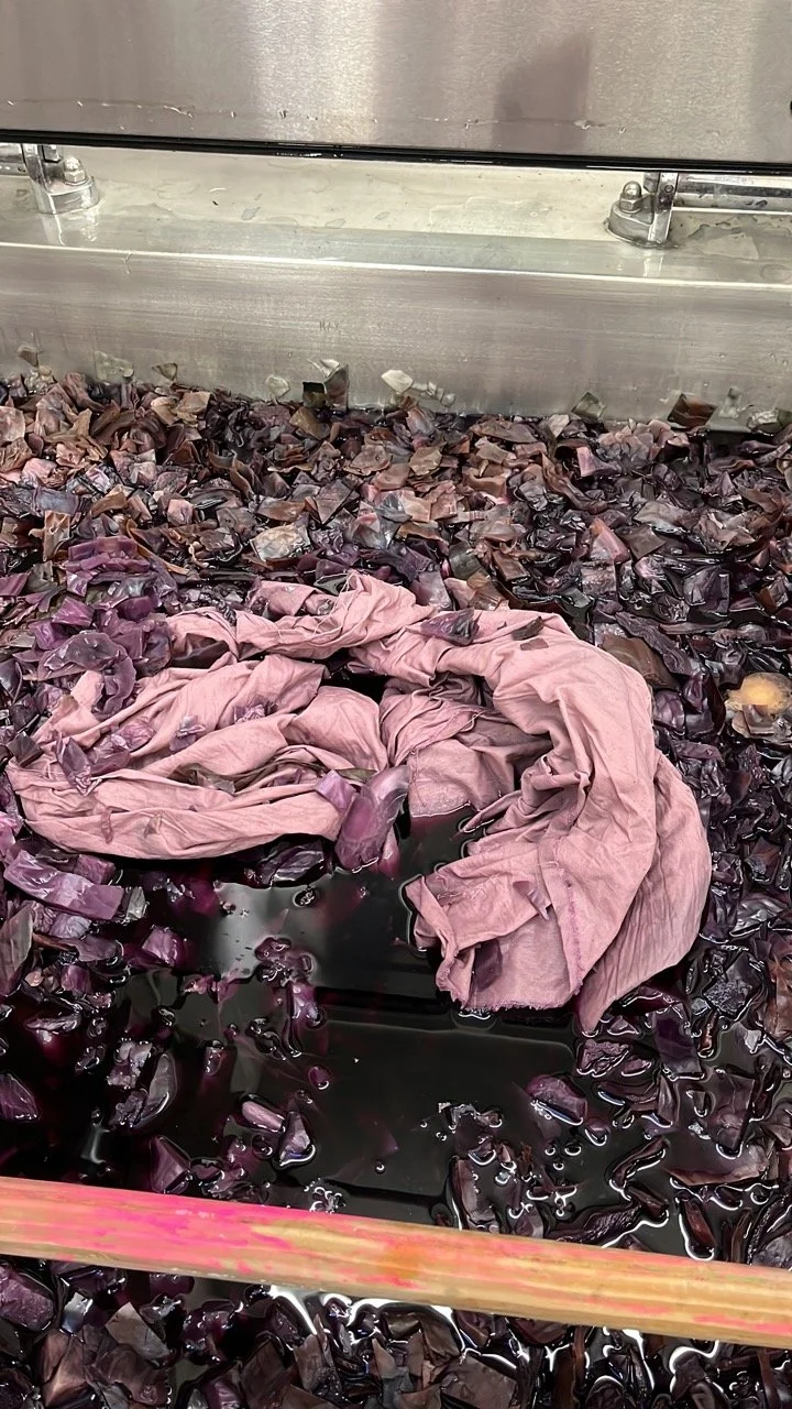 81D04829-EEAD-4F7C-848F-A15E3D2DE590 Large.jpeg