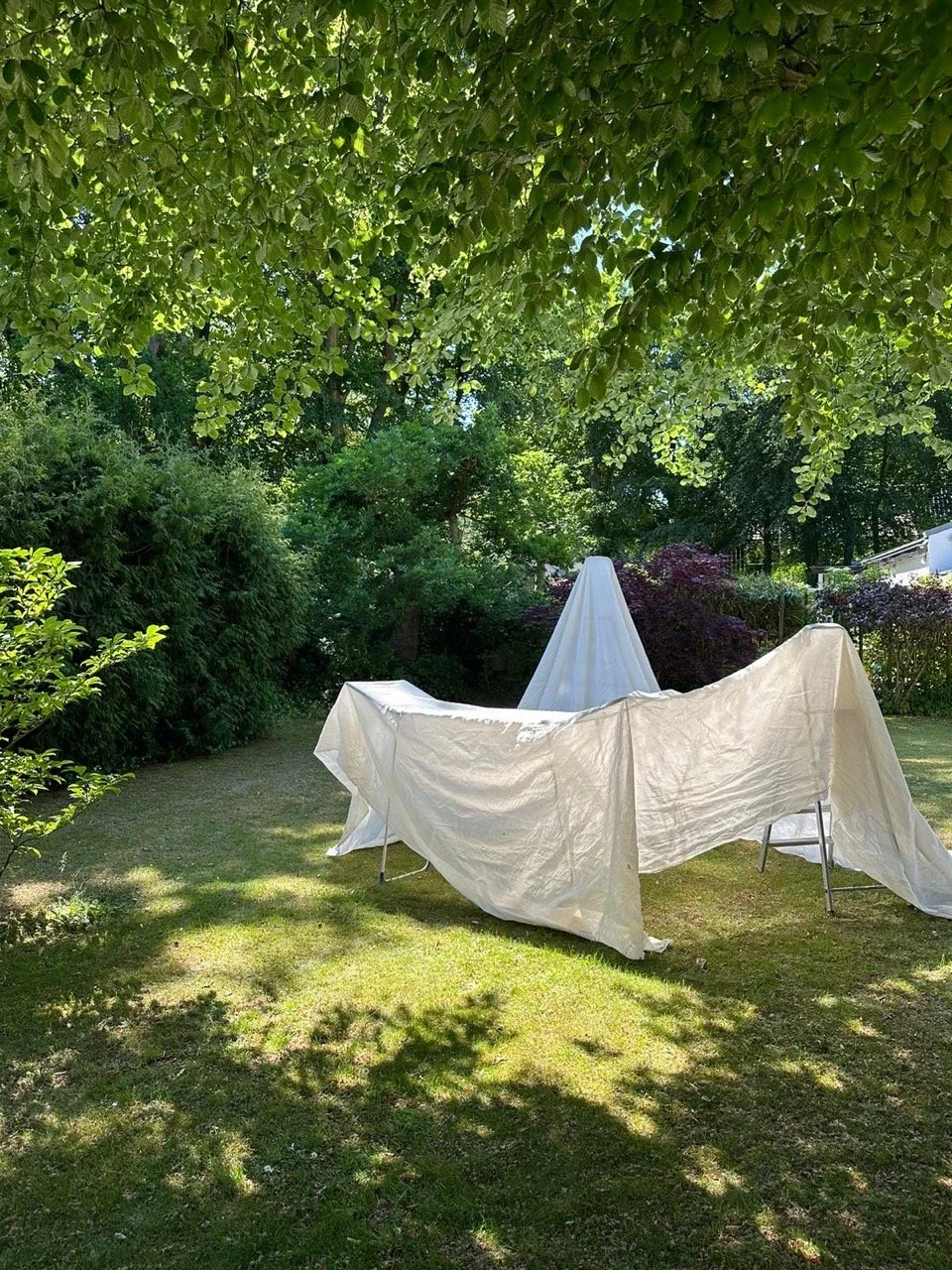 c3b706ba-0e00-41f3-8748-283d7d0fcef3 Large.jpeg