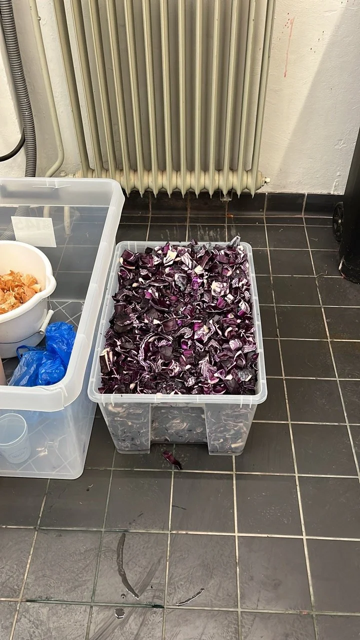 72B2FC65-4783-4587-BB5B-547CD63ED008 Large.jpeg