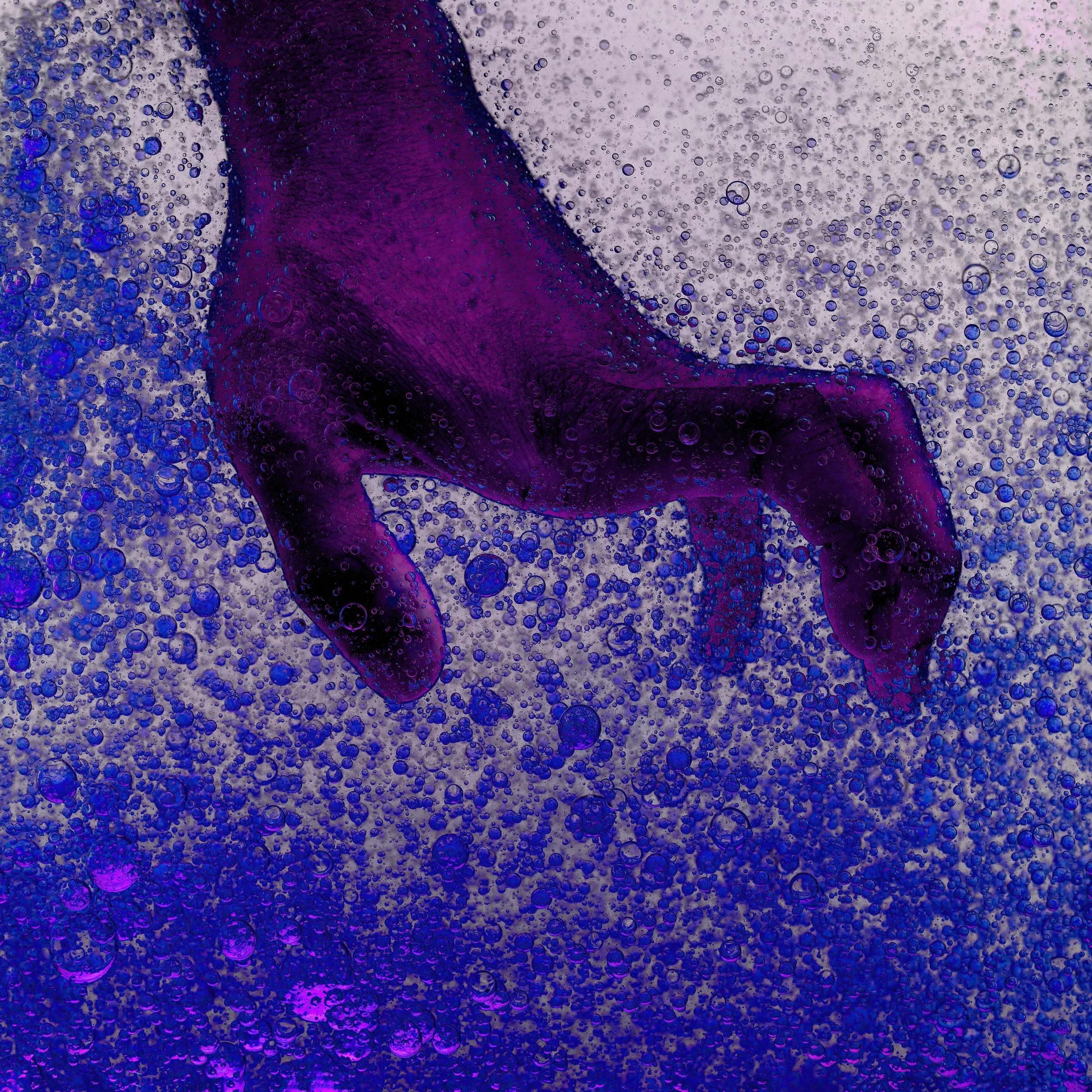 A purple cat submerged in bubbles and liquid, with a background of purple and blue bubbles.