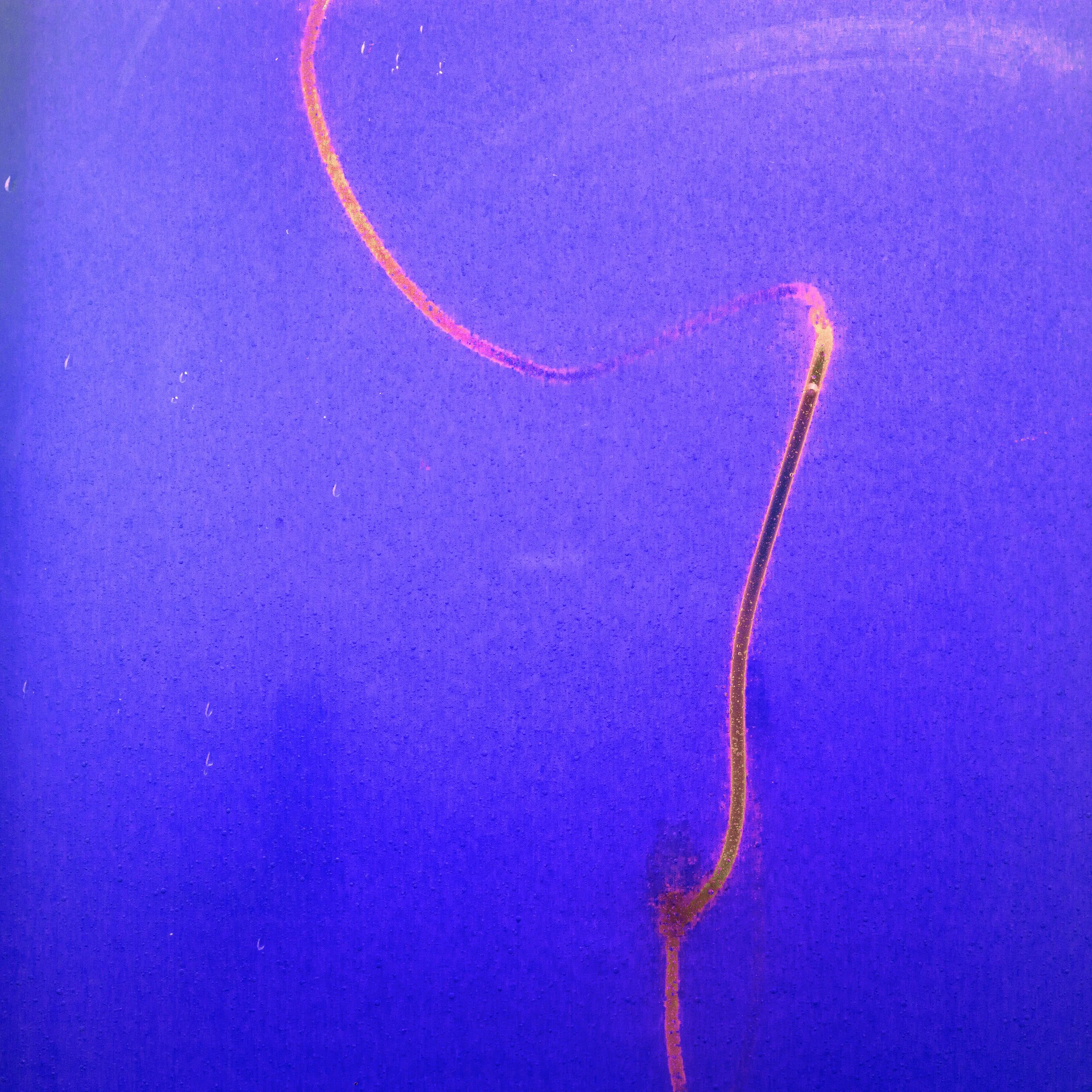 Close-up of a bright pinkish-orange filament in a blue background, possibly a scientific image of a thin thread or fiber under a microscope.
