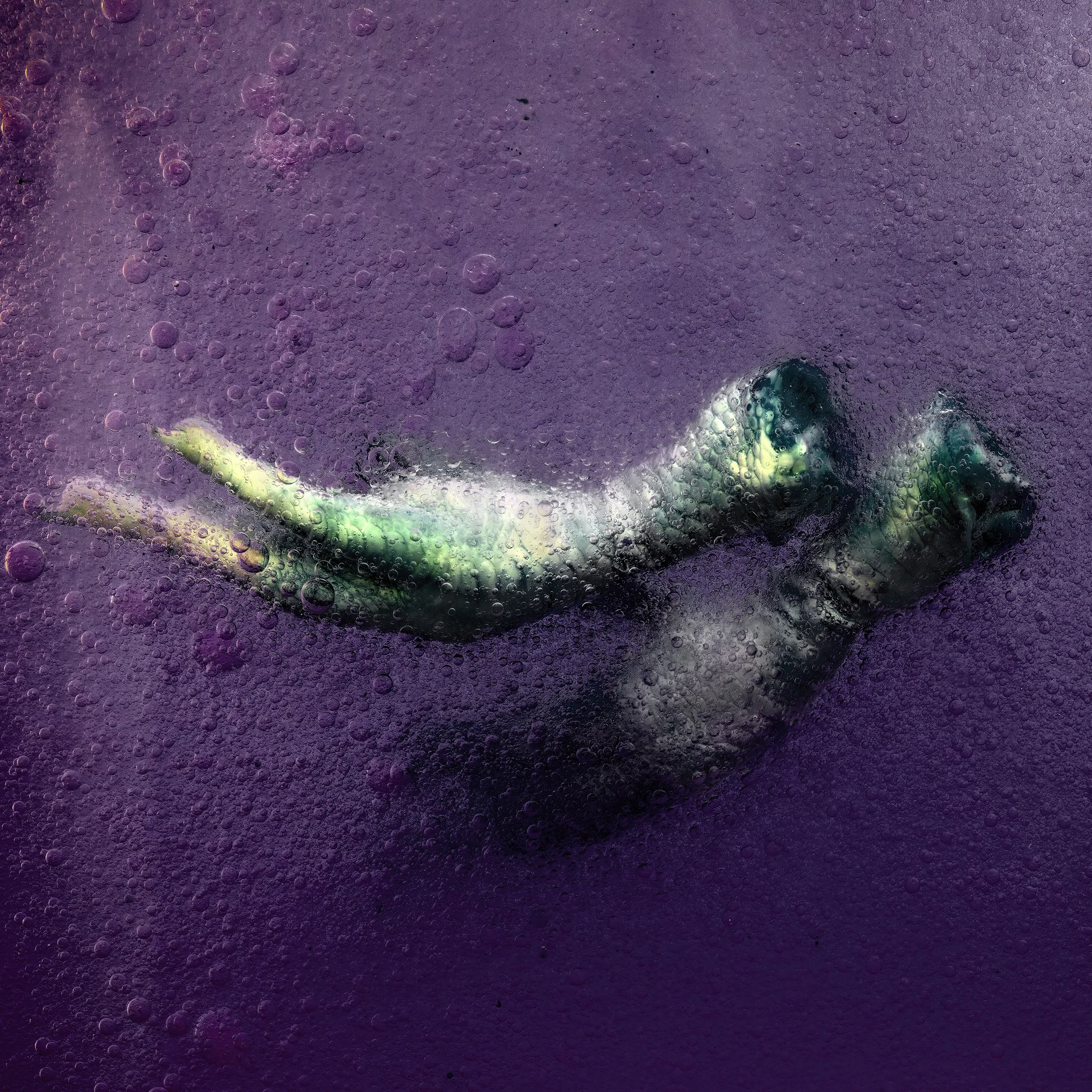 A metallic snake sculpture submerged in purple liquid with bubbles.
