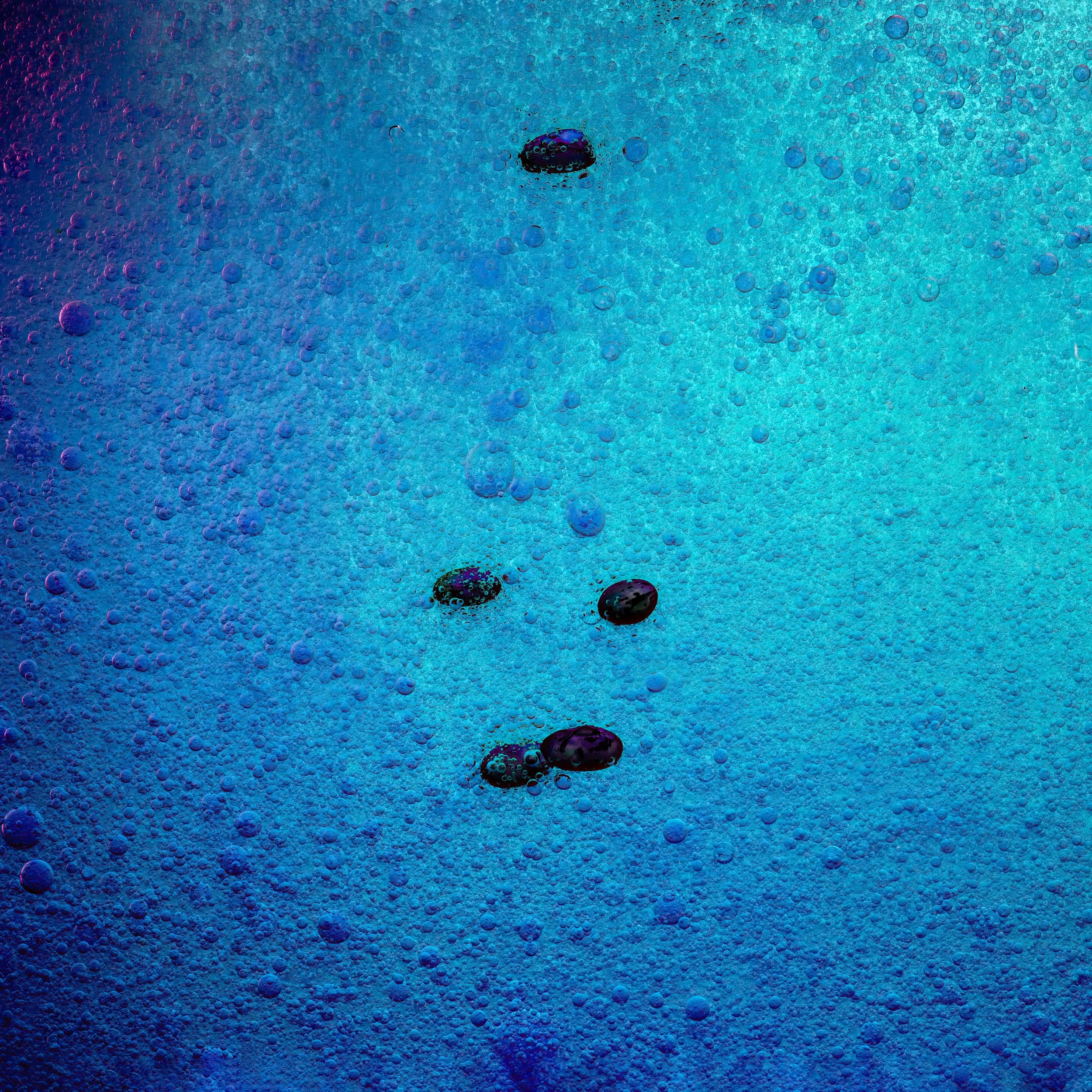 Close-up of bubbling liquid with small, dark, oval objects suspended in a blue and purple-toned environment.