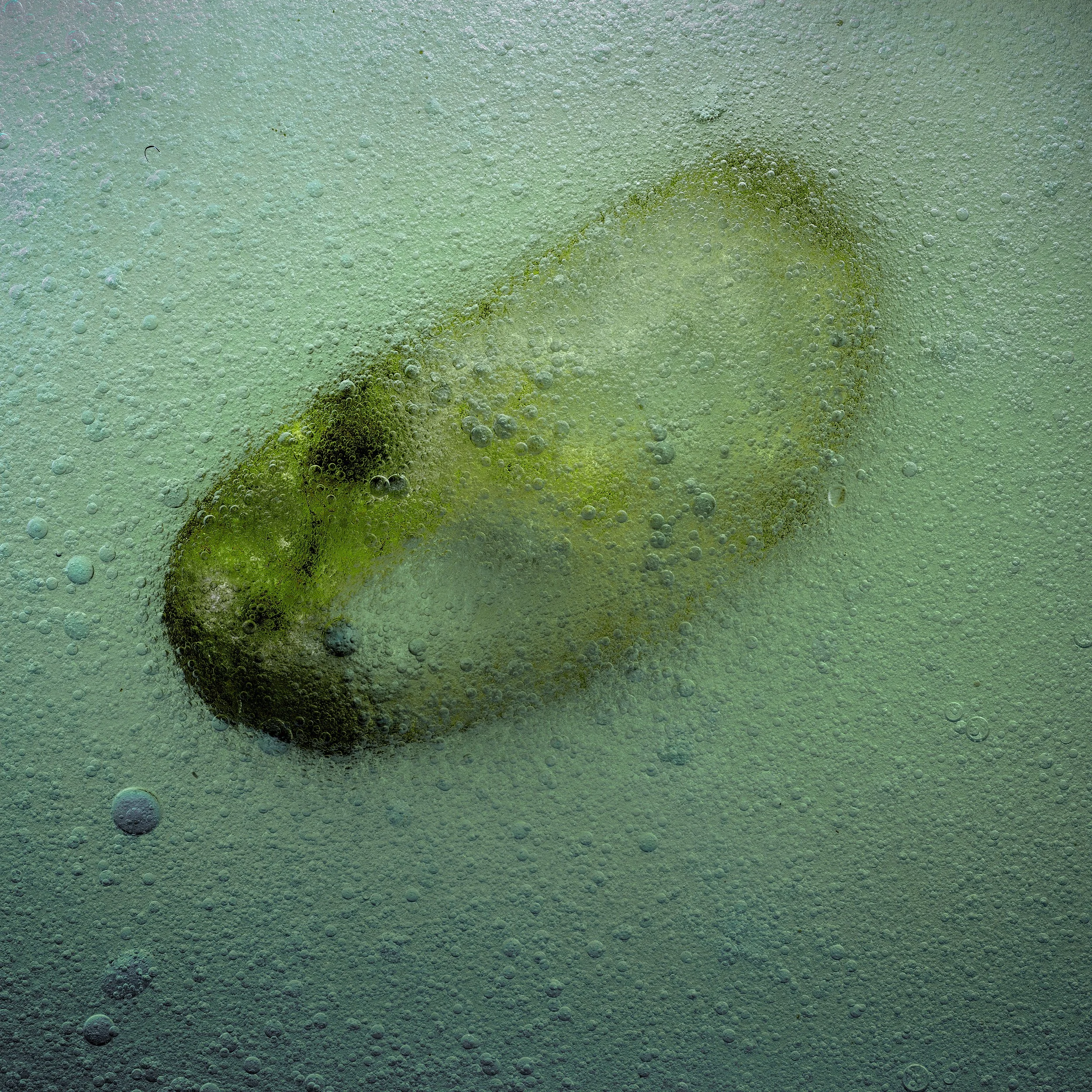A green soda can submerged in a carbonated beverage with bubbles around it.
