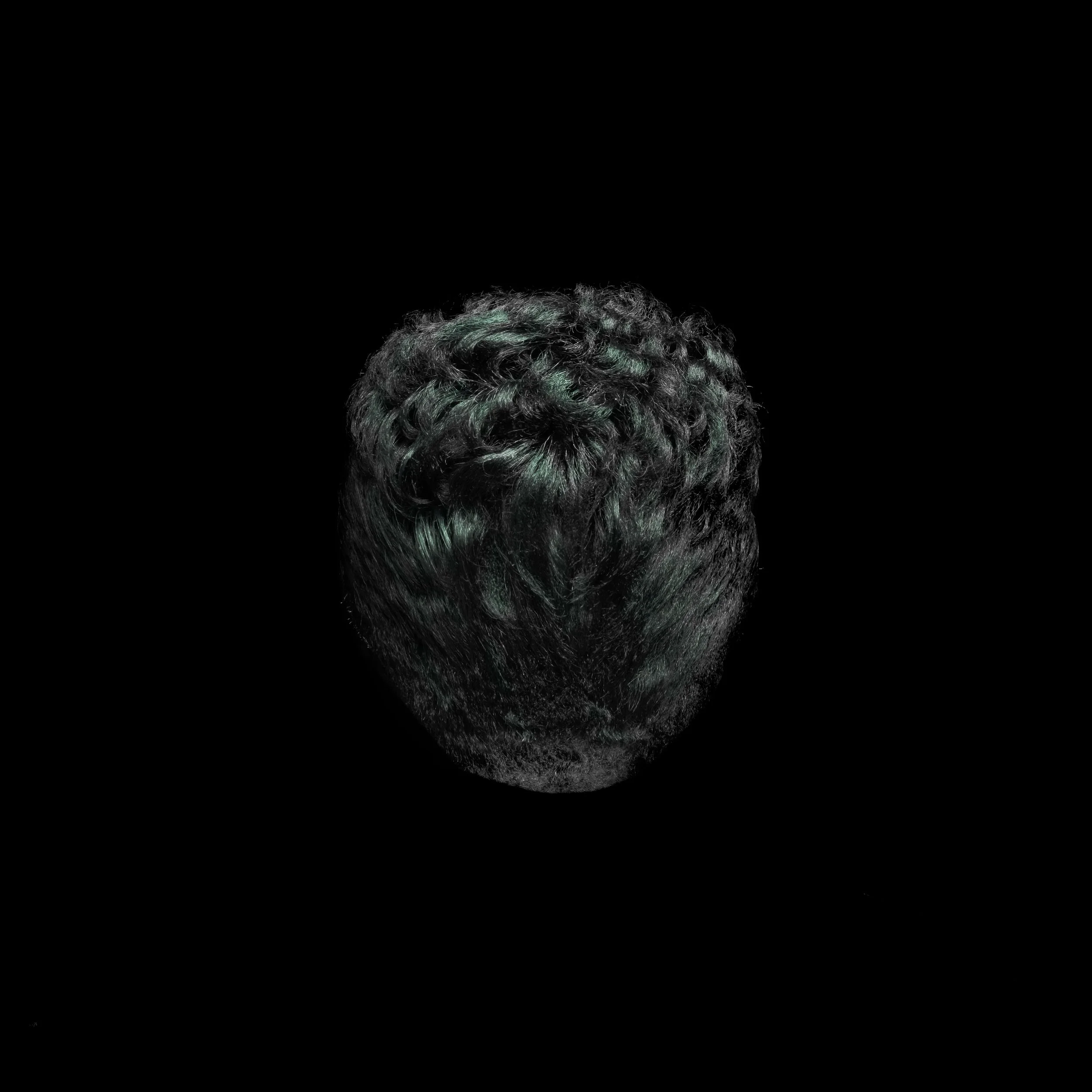 Close-up of a black furry object with green streaks on a black background.