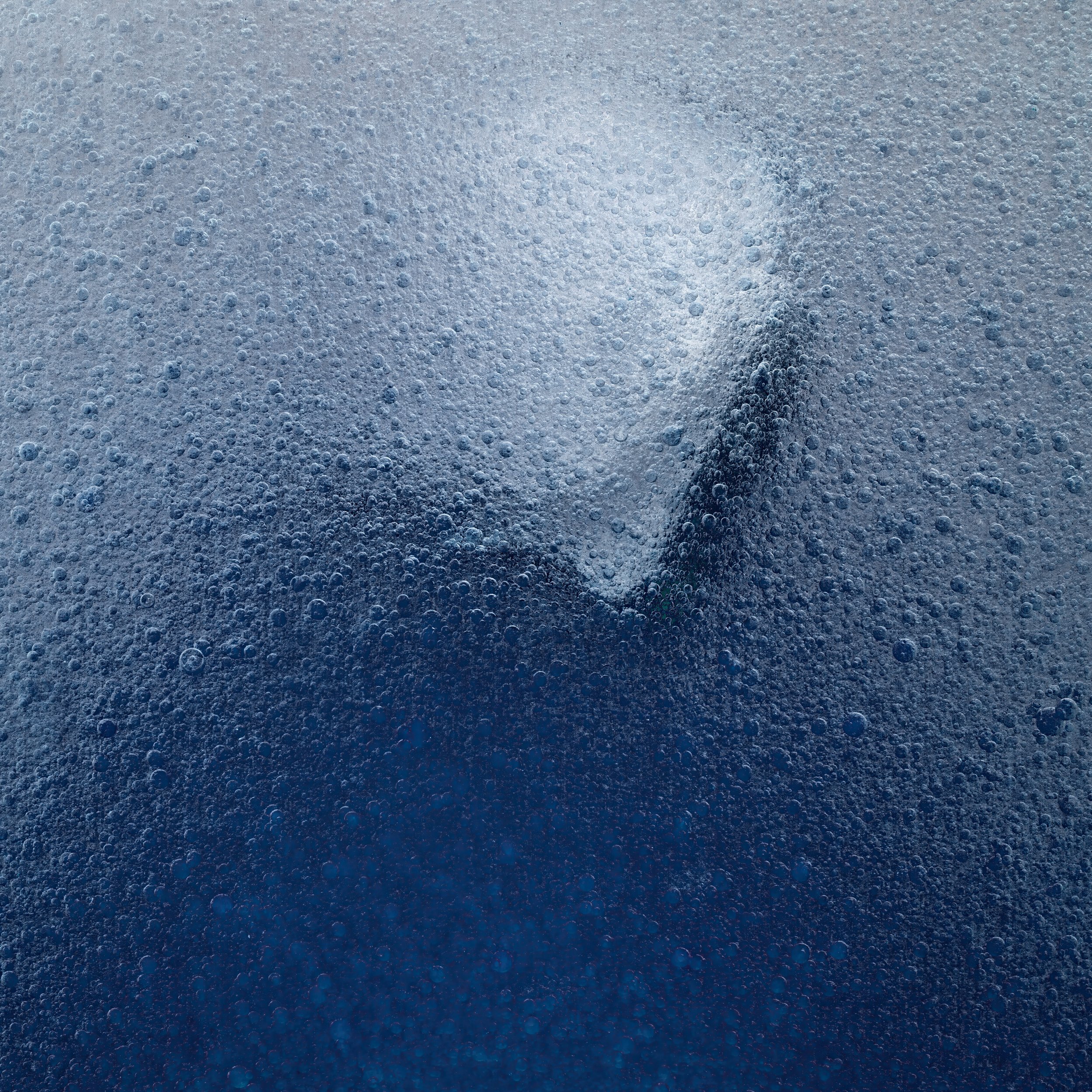 Close-up of a surface covered with small bubbles, with a V-shaped opening in the middle.