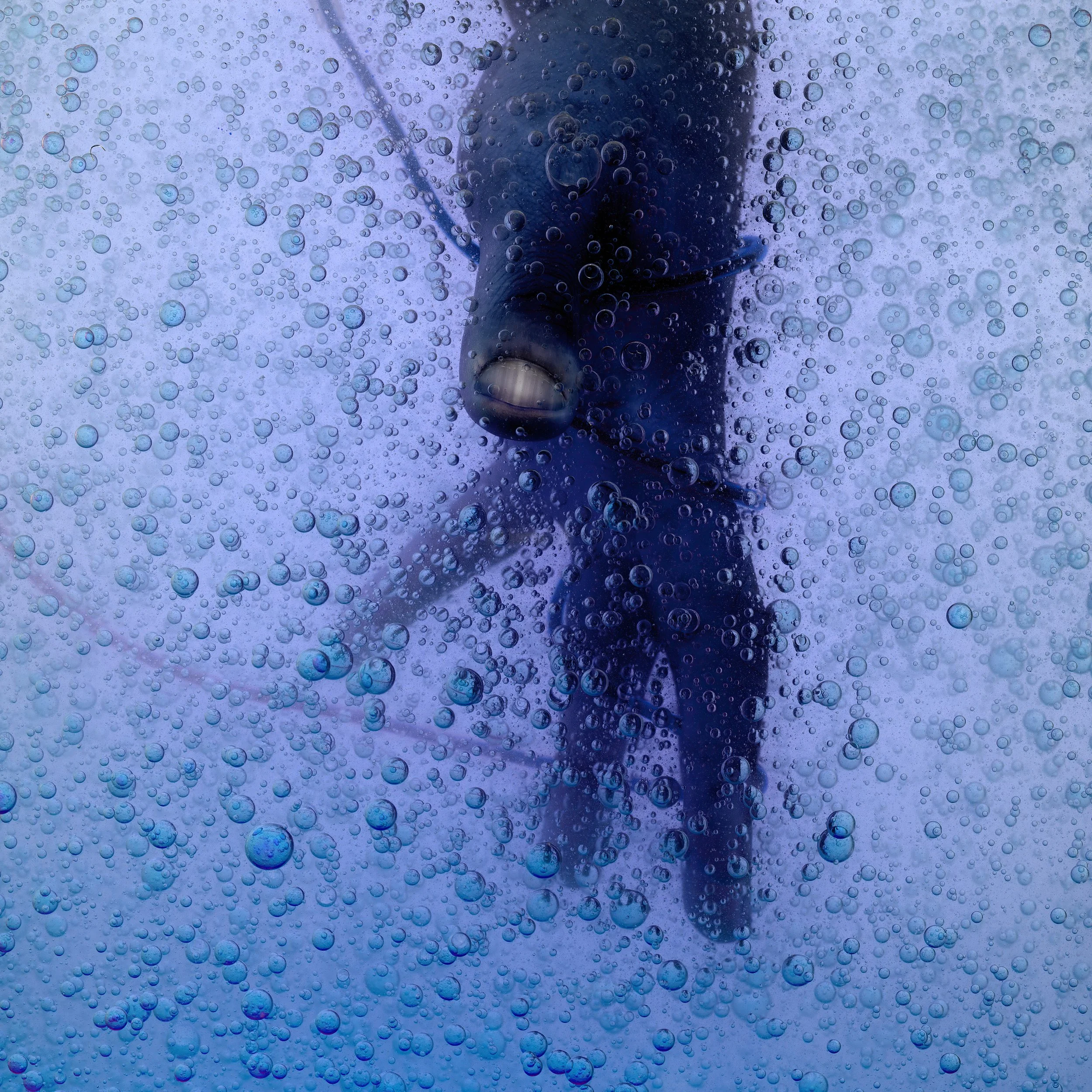A scuba diver is underwater, surrounded by bubbles, wearing a black wetsuit, mask, and regulator, and holding a small underwater camera.