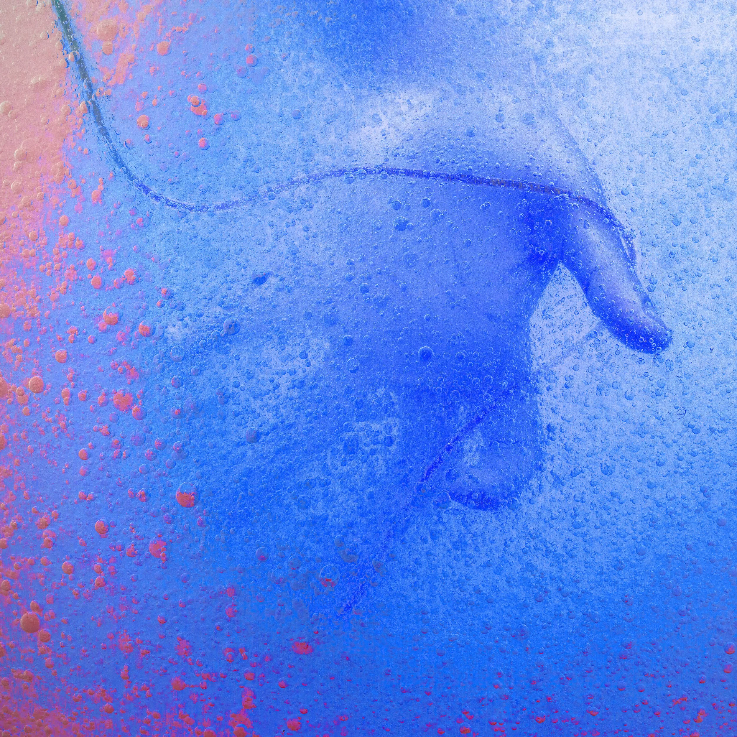 Close-up of a glass with a beverage, ice, and bubbles, with a blue and pink light reflection.