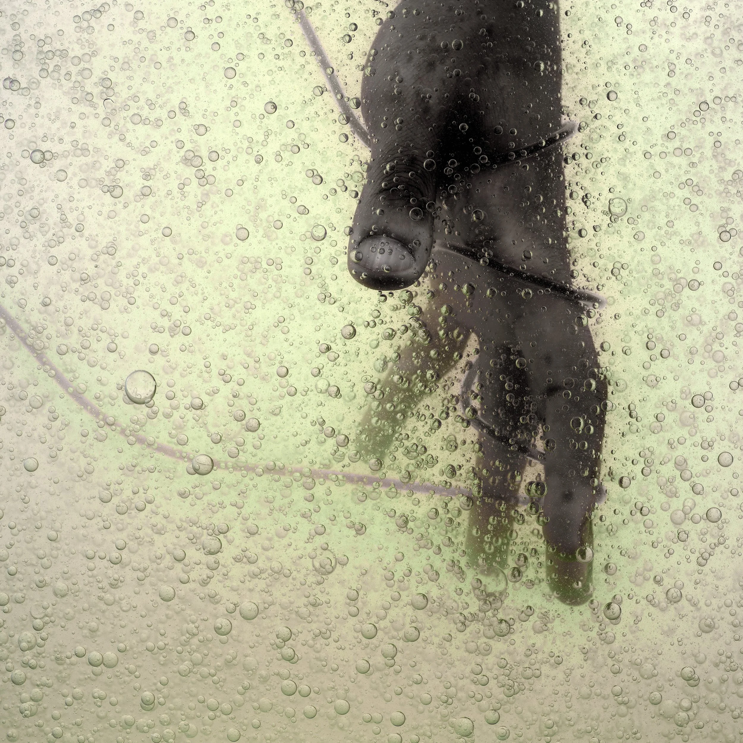 Close-up of a person's hand pressing on a glass covered in water droplets.