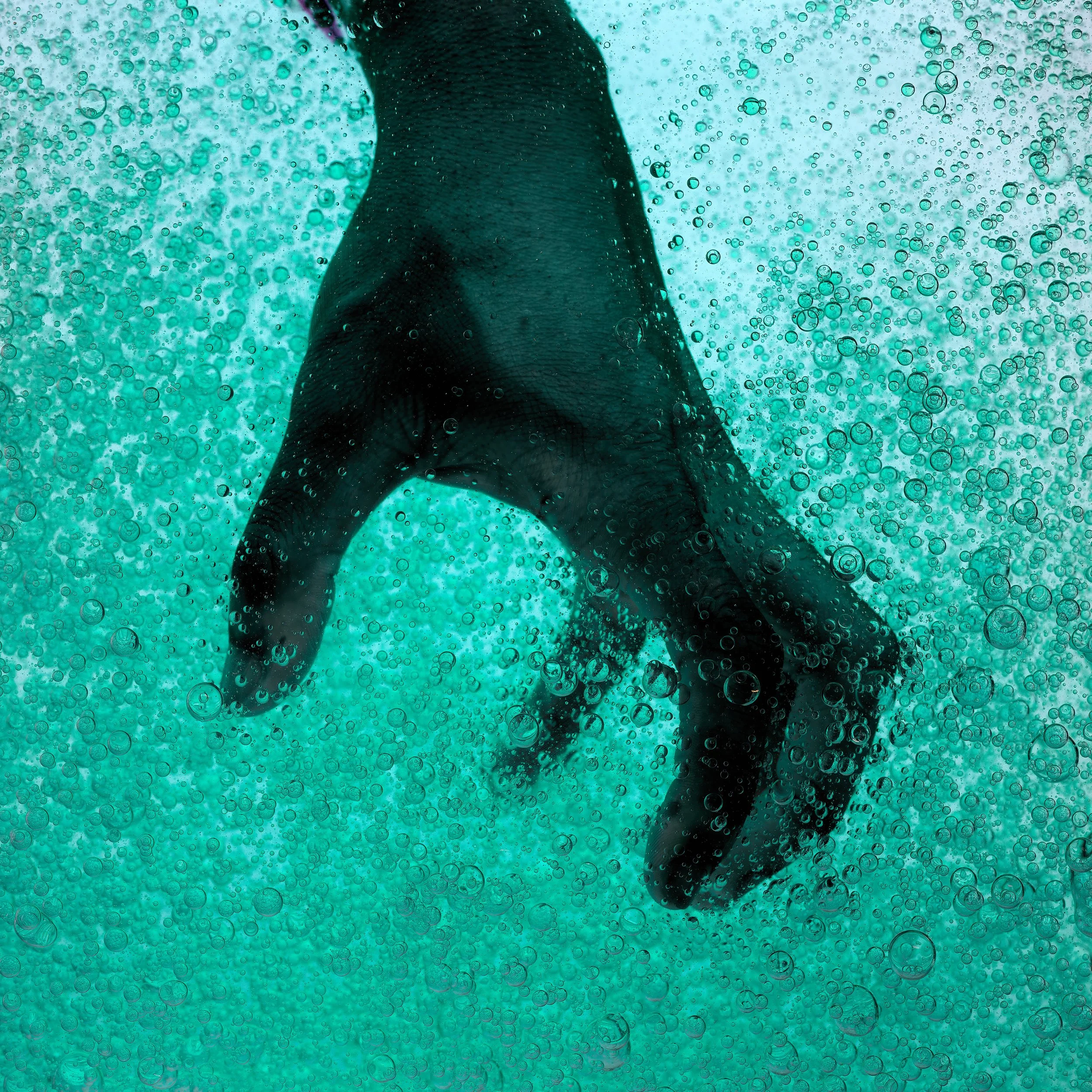 A submerged whale tail visible underwater with many bubbles surrounding it.
