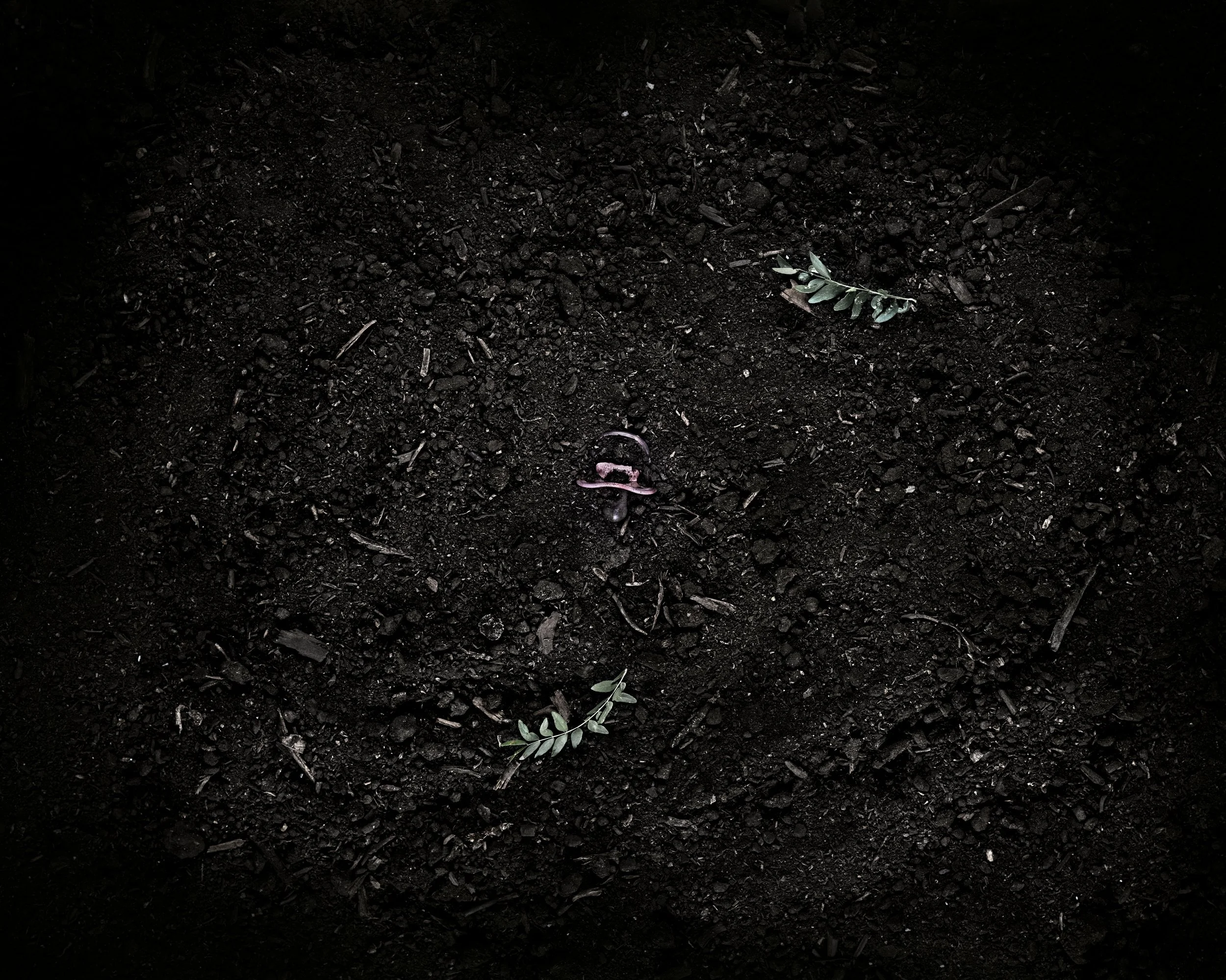 Dark soil with two small green sprigs and a small pinkish object, possibly a seed or a small tool, scattered across
