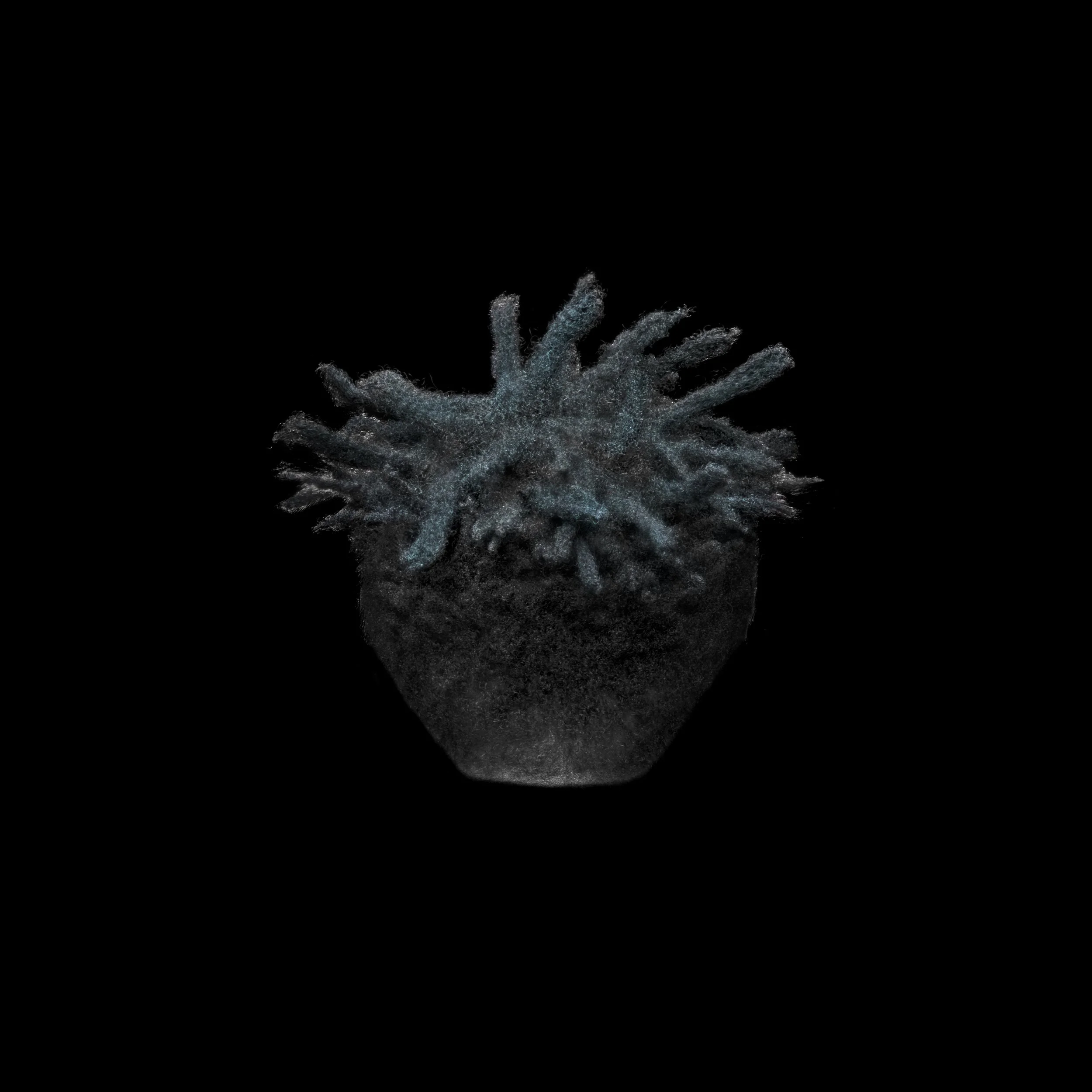 A 3D X-ray scan of a small potted plant with bluish-green leaves.