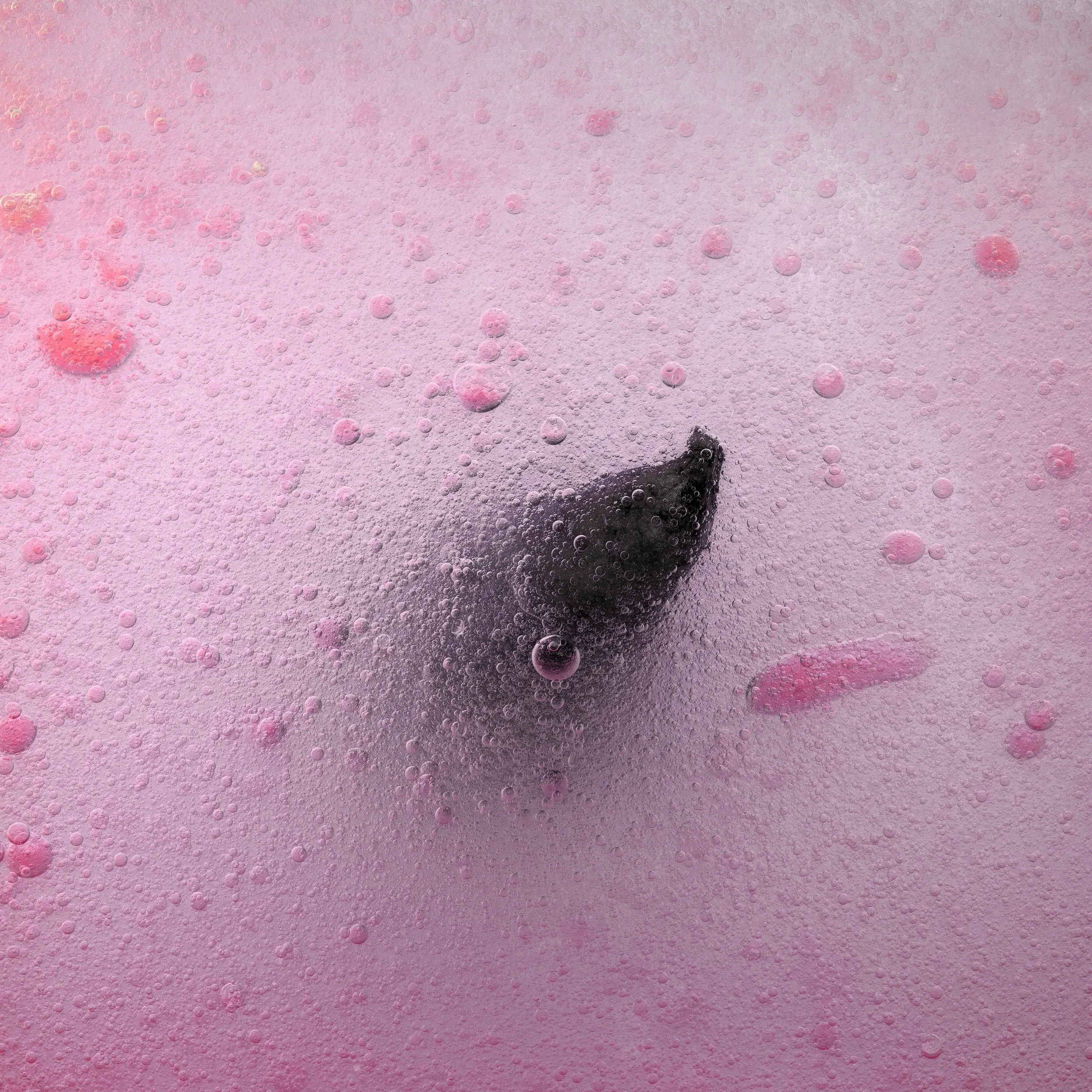 Close-up of a black nail polish brush submerged in pink bubbly liquid with small bubbles and foam.