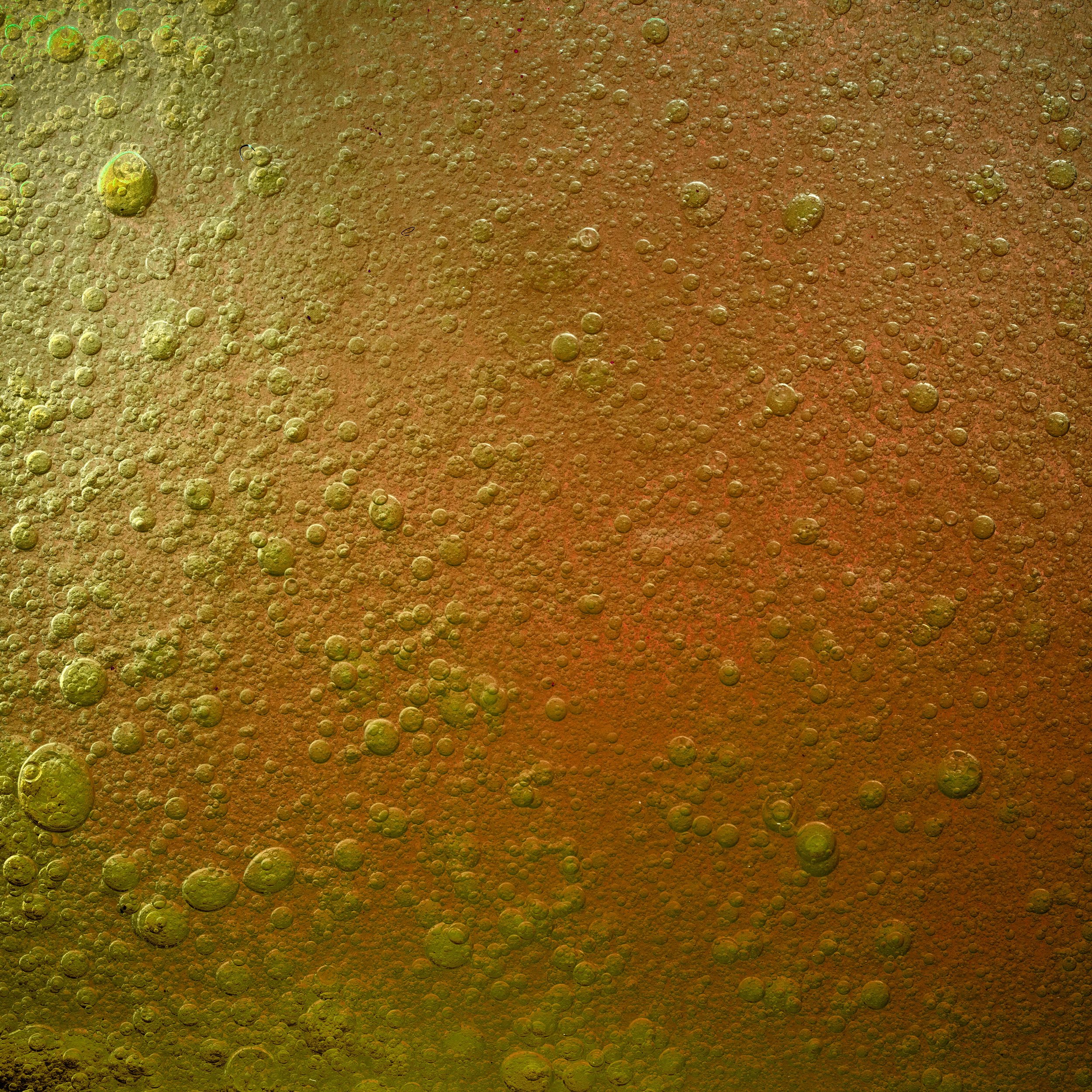 Close-up of a surface with orange and yellowish bubbles or foam scattered across it.