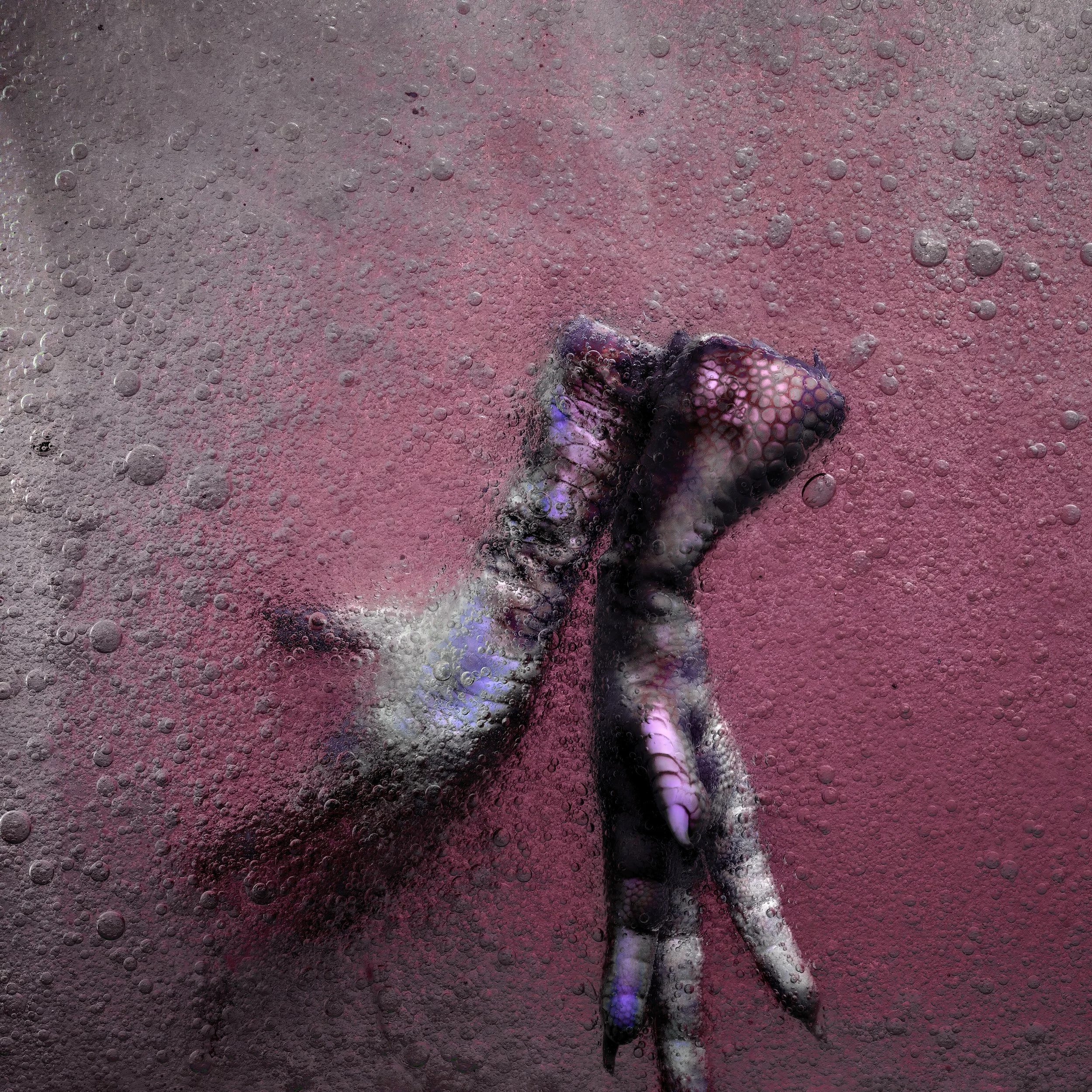 A close-up of a small, textured animal, possibly a gecko, partially submerged in a bubbly pink liquid with iridescent reflections.