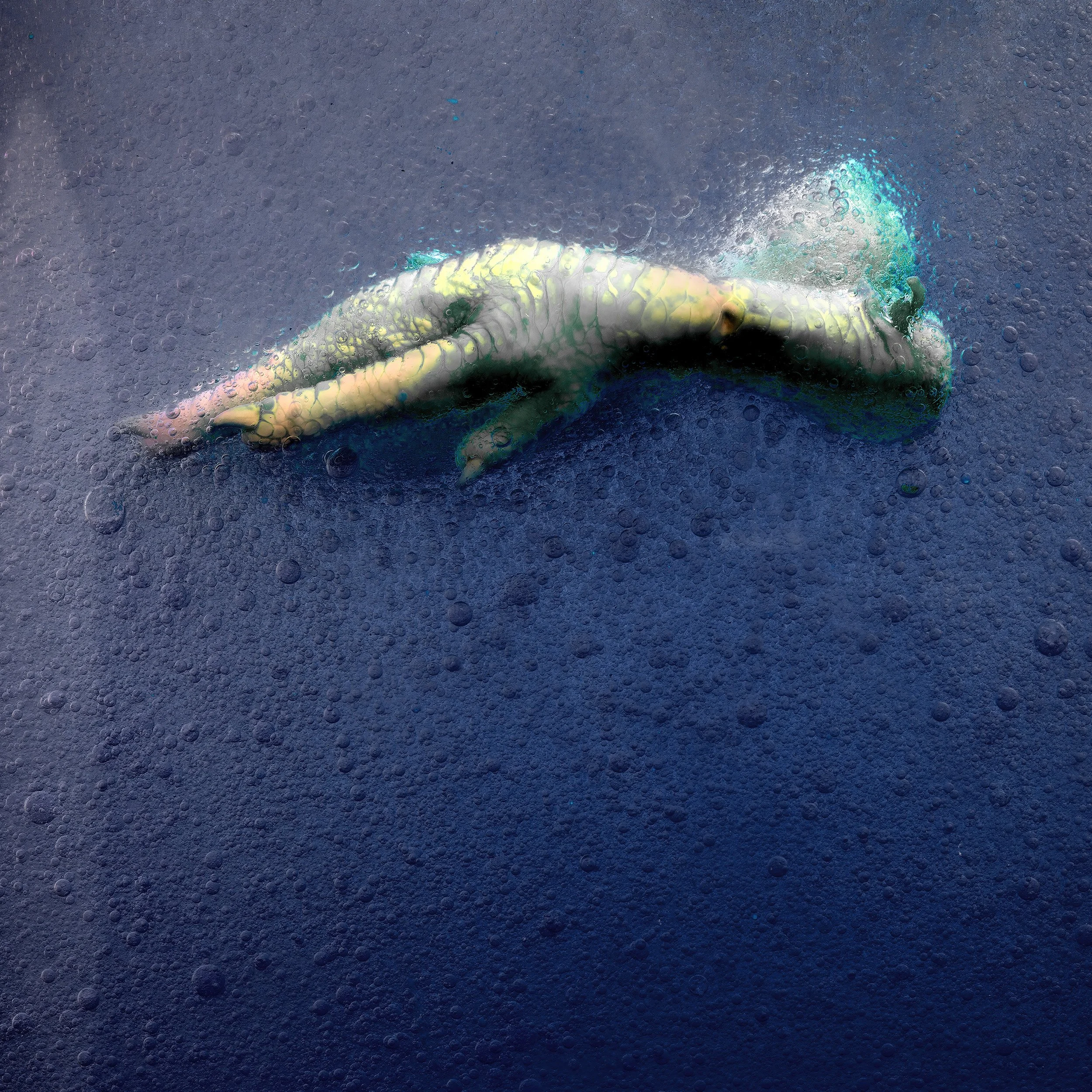 A small, pale green gecko with blue accents on its tail and head, resting on a dark blue surface with bubble-like textures.