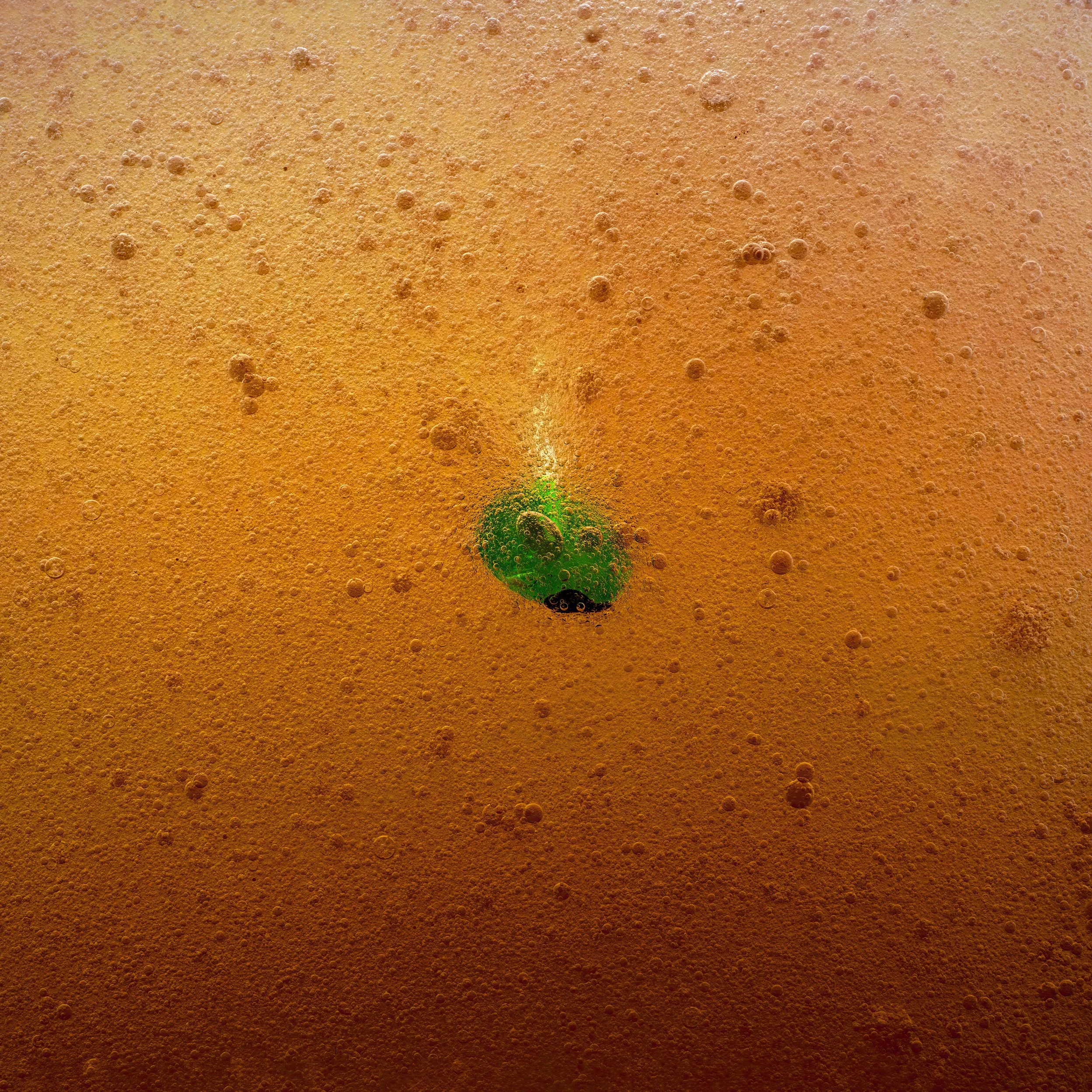 Close-up of a green bubble in orange foam.