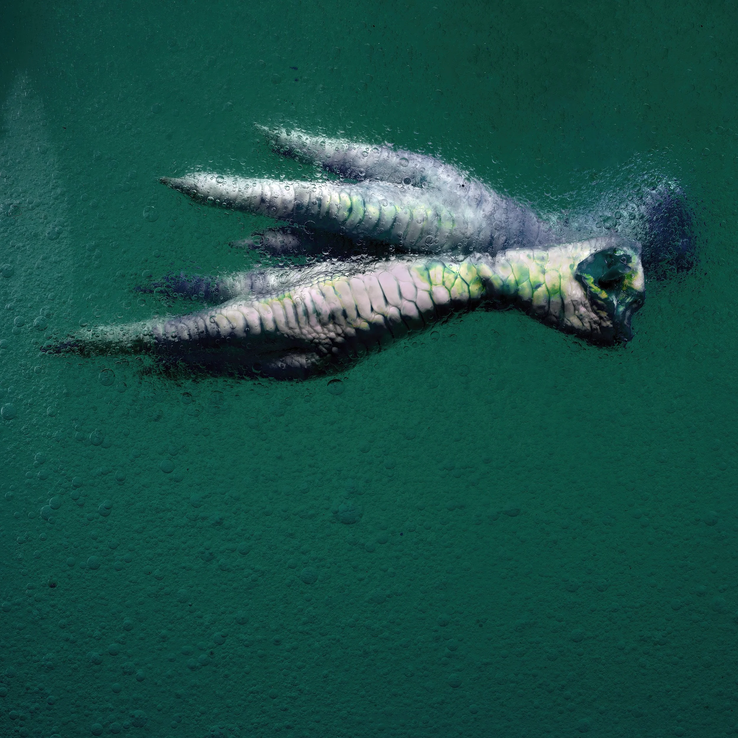 A stylized depiction of a creature resembling a dinosaur or dragon, with elongated body, large head, and scales, immersed in green water with bubbles.