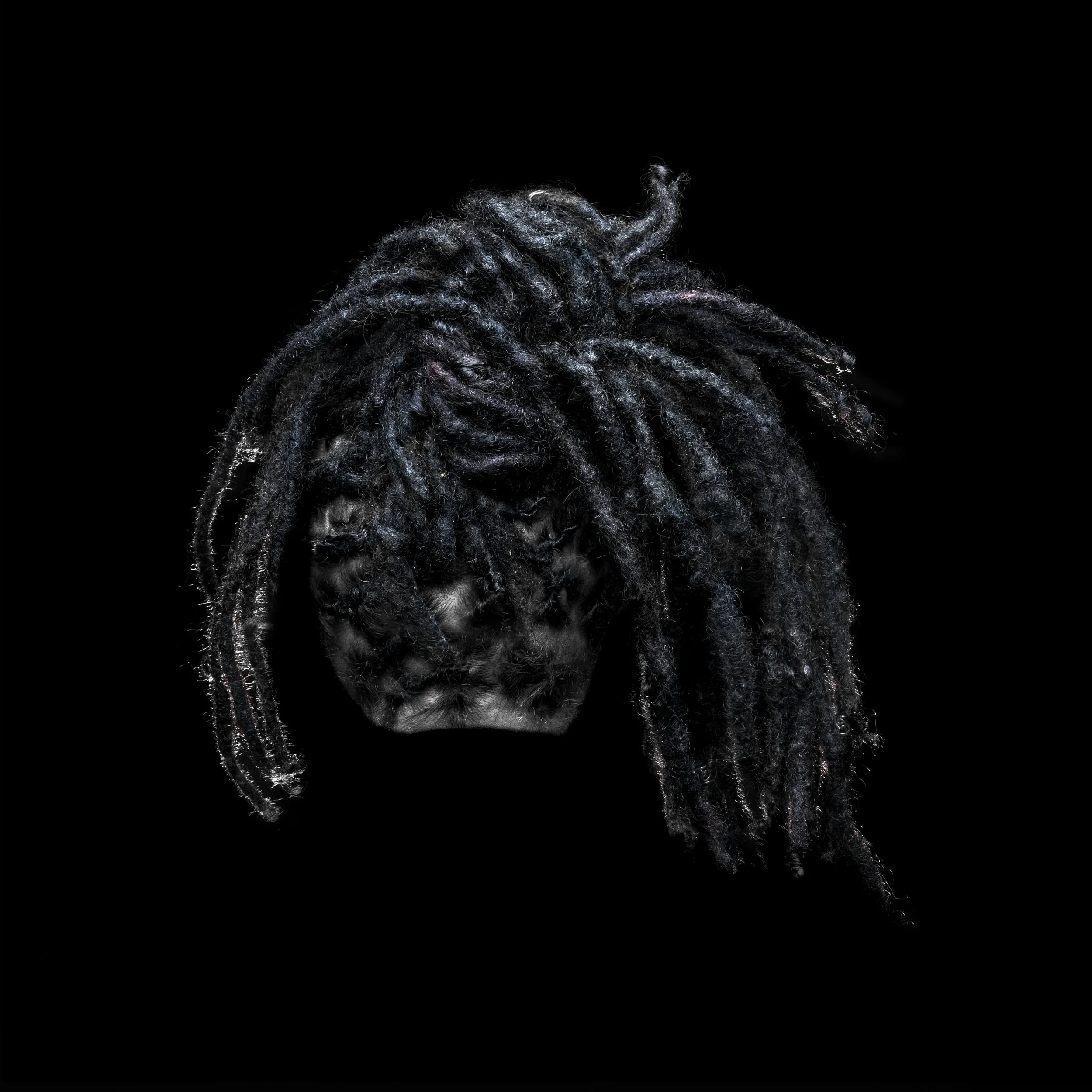 Close-up of black dreadlocked hair with a portion of the scalp visible, dark background.