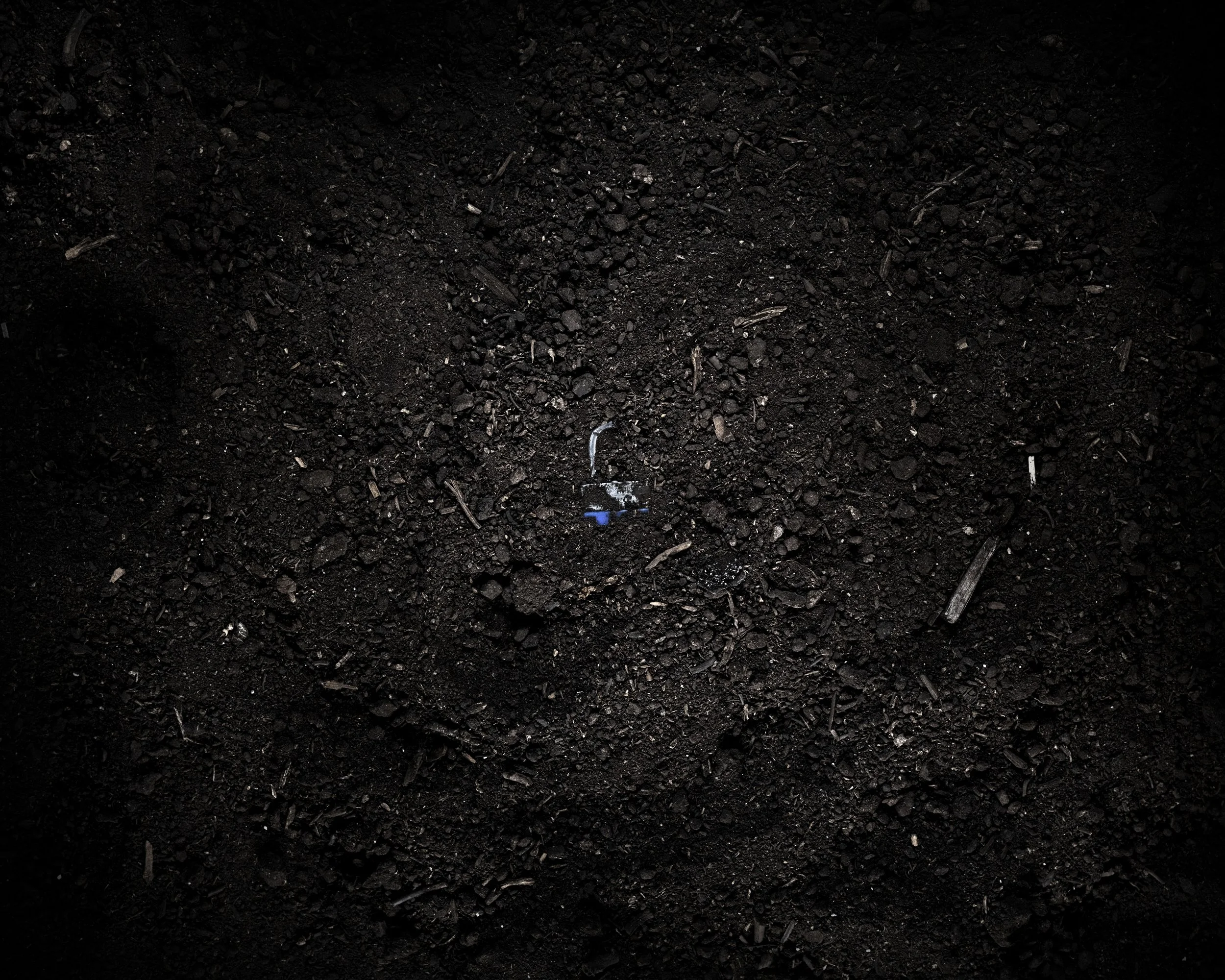 Dark soil with small rocks and debris, including a small blue and white object partially buried.