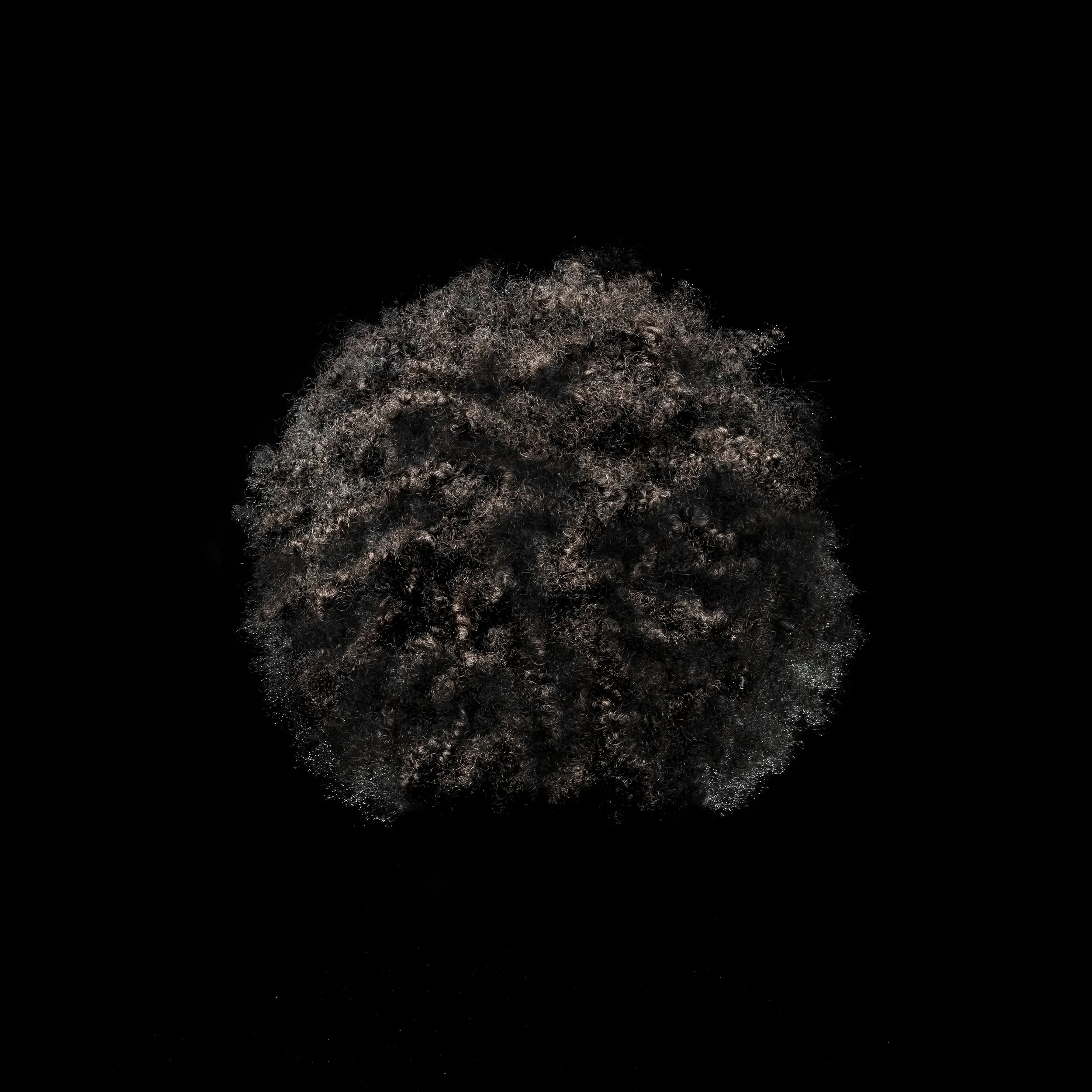 A close-up of a person's curly black hair with brown highlights against a black background.