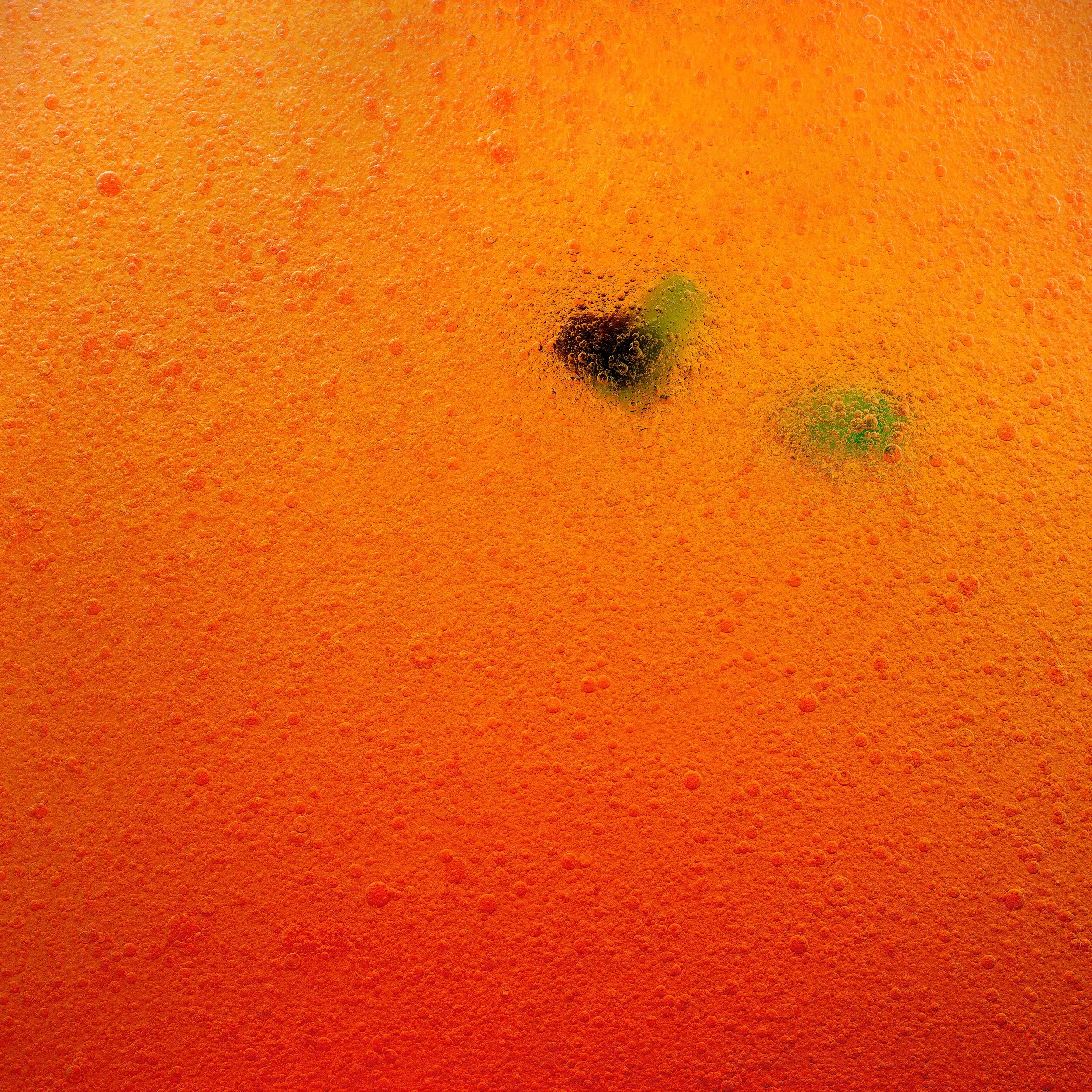 Close-up of an orange beverage with bubbles and two green lime wedges.
