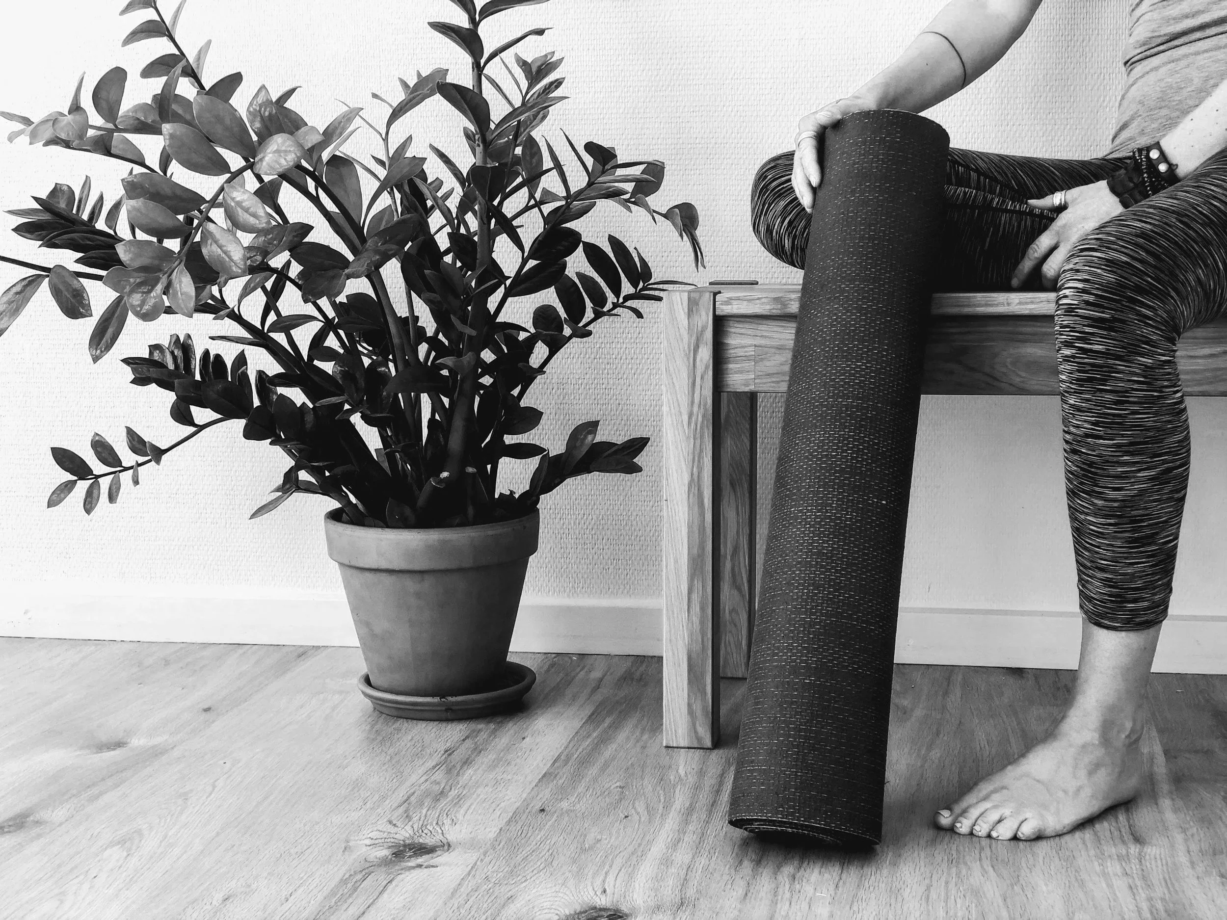 Person sitting on a wooden bench rolling out a yoga mat with their right hand, while their left hand rests on their knee, next to a potted plant on a wooden floor.