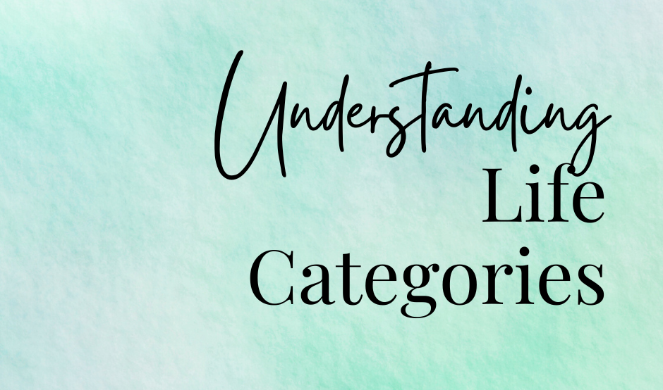 Title for Card Deck Guide: 'Understanding Life Categories'