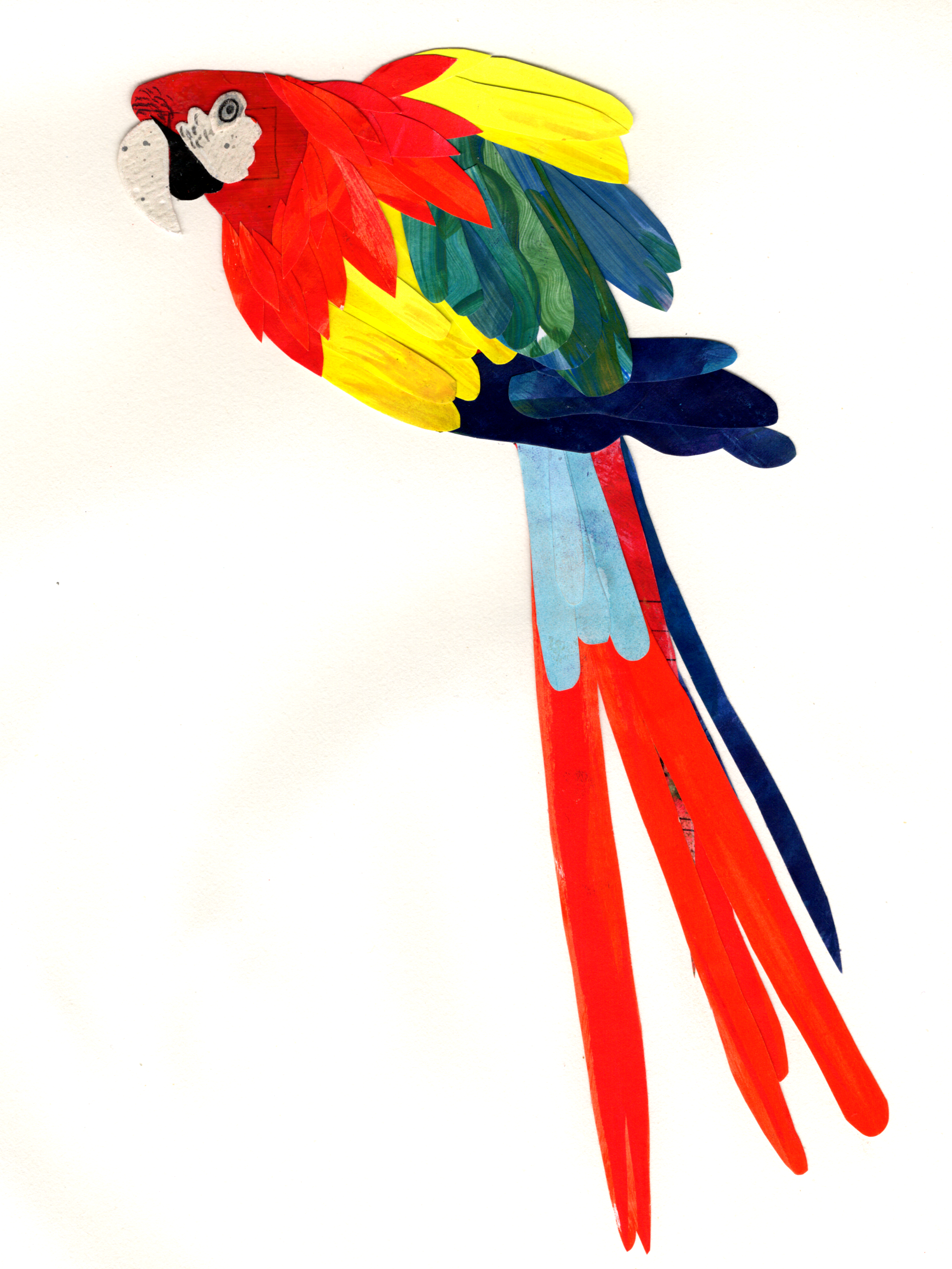 Image_20260621_0042.png