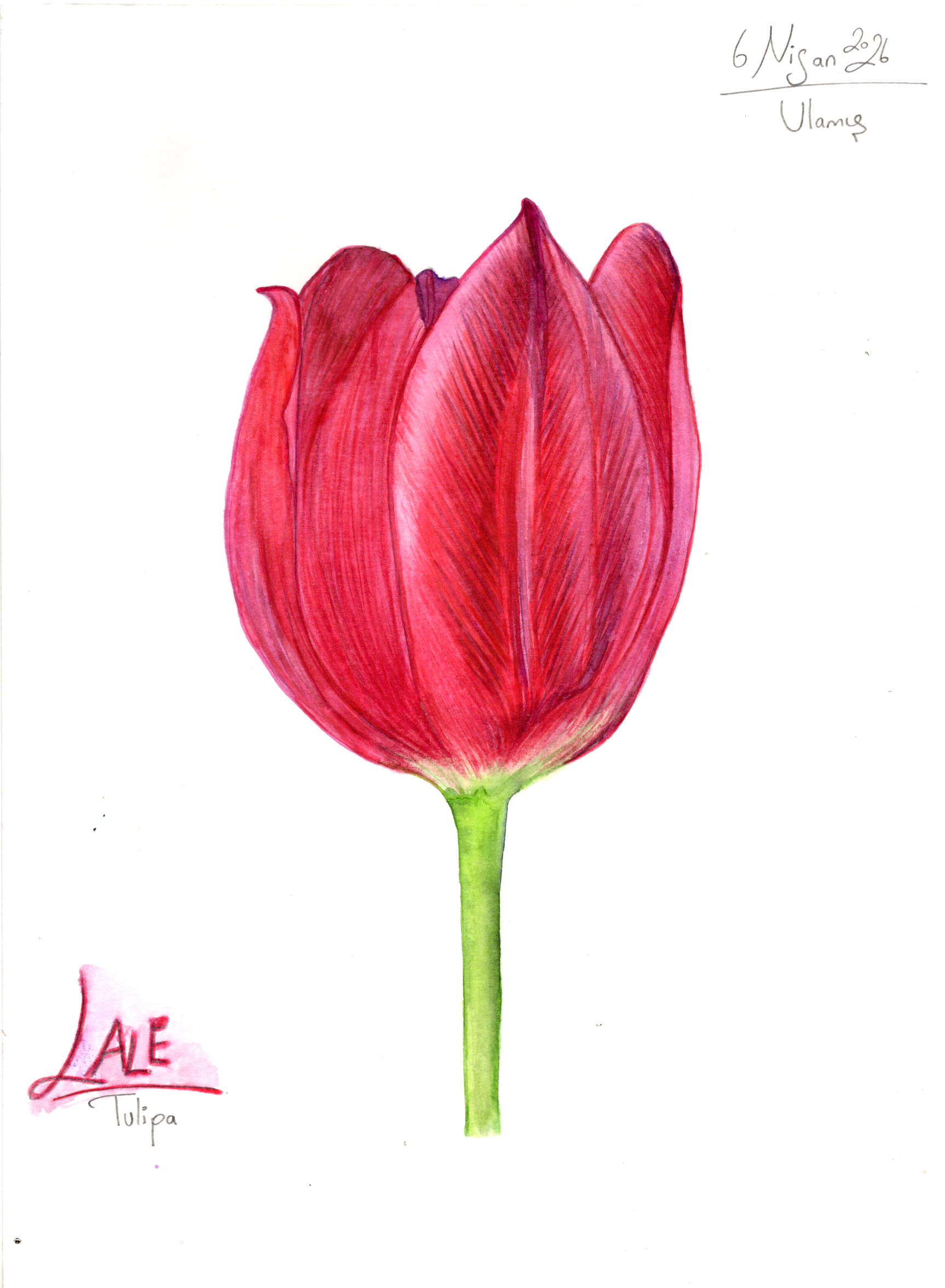 Image_20260523_0008.png
