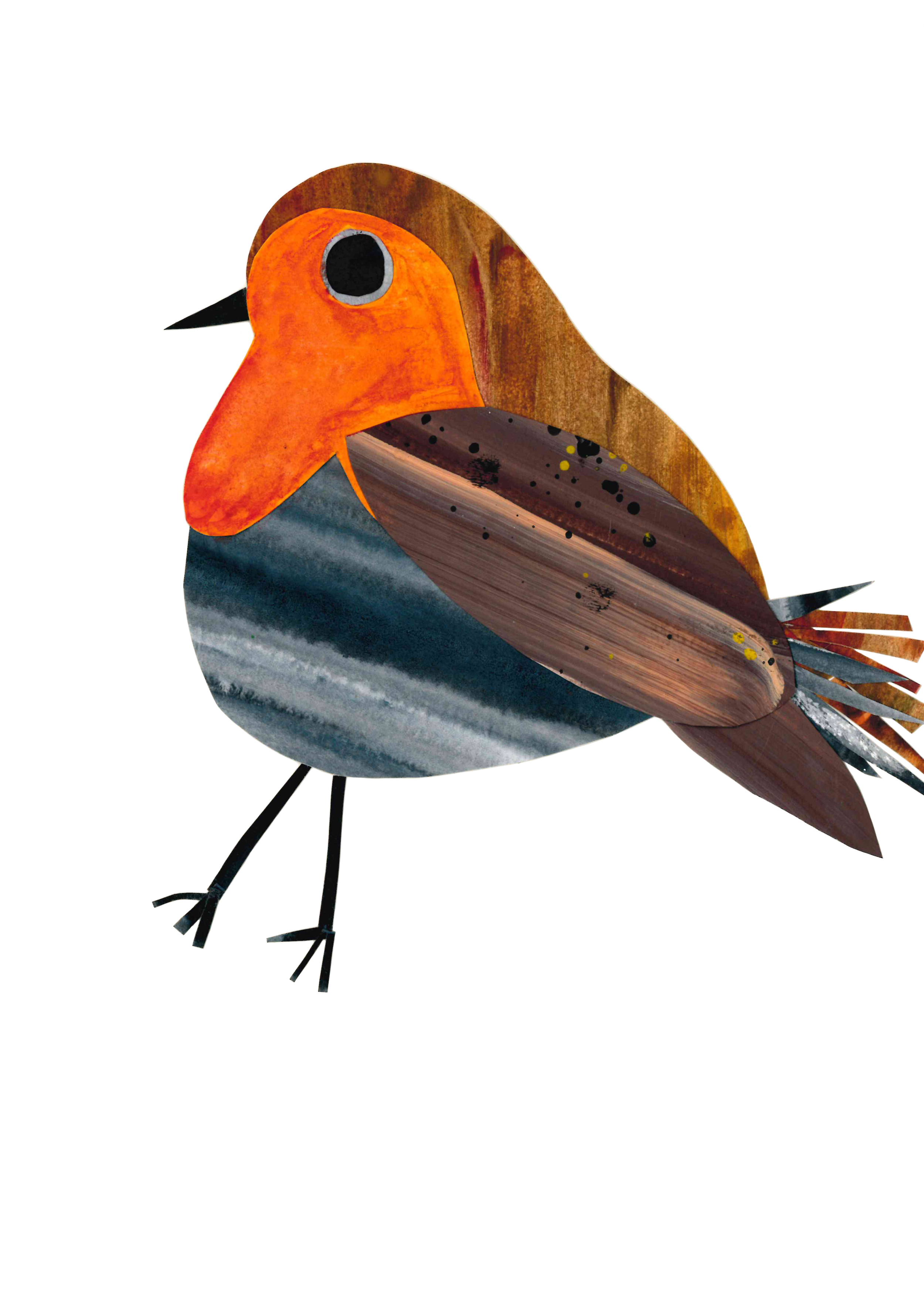 robin.png