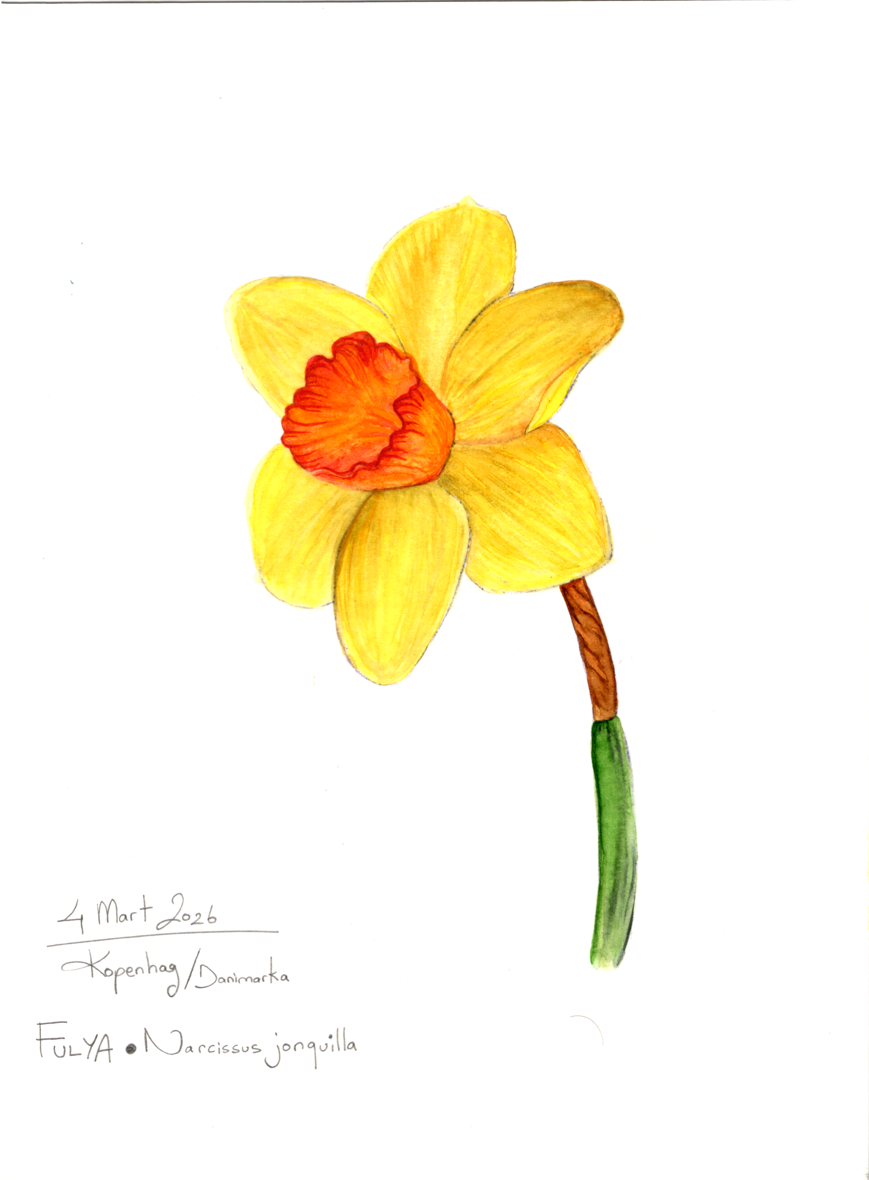Image_20260523_0003.png