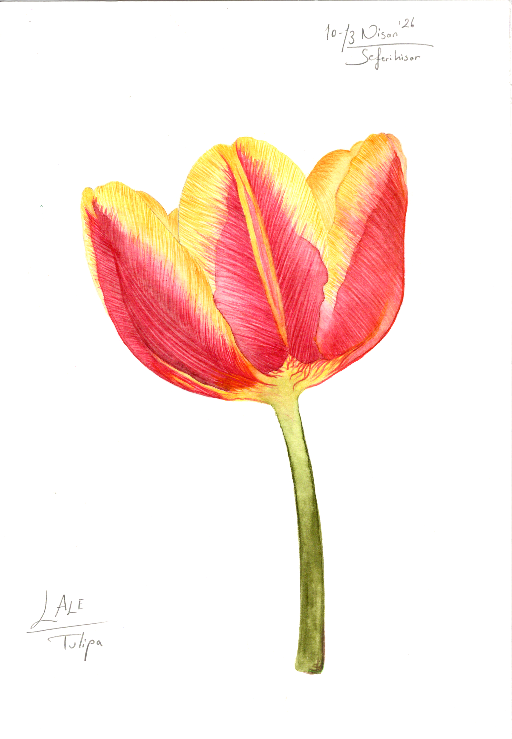Image_20260523_0001.png