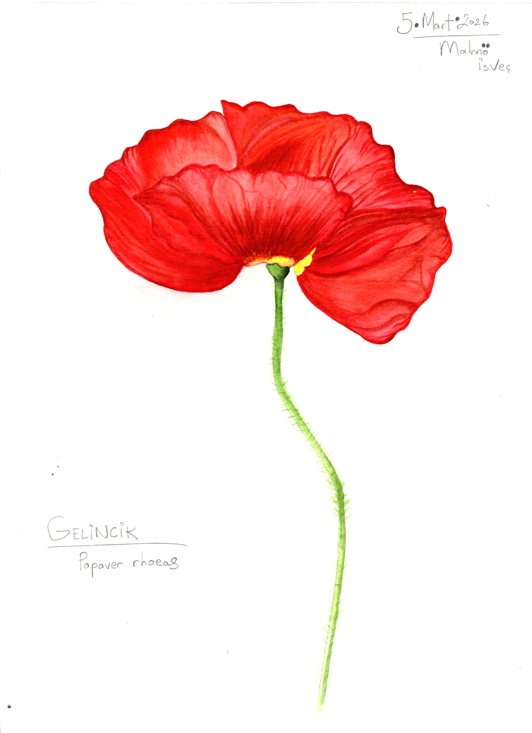 Image_20260523_0007.png