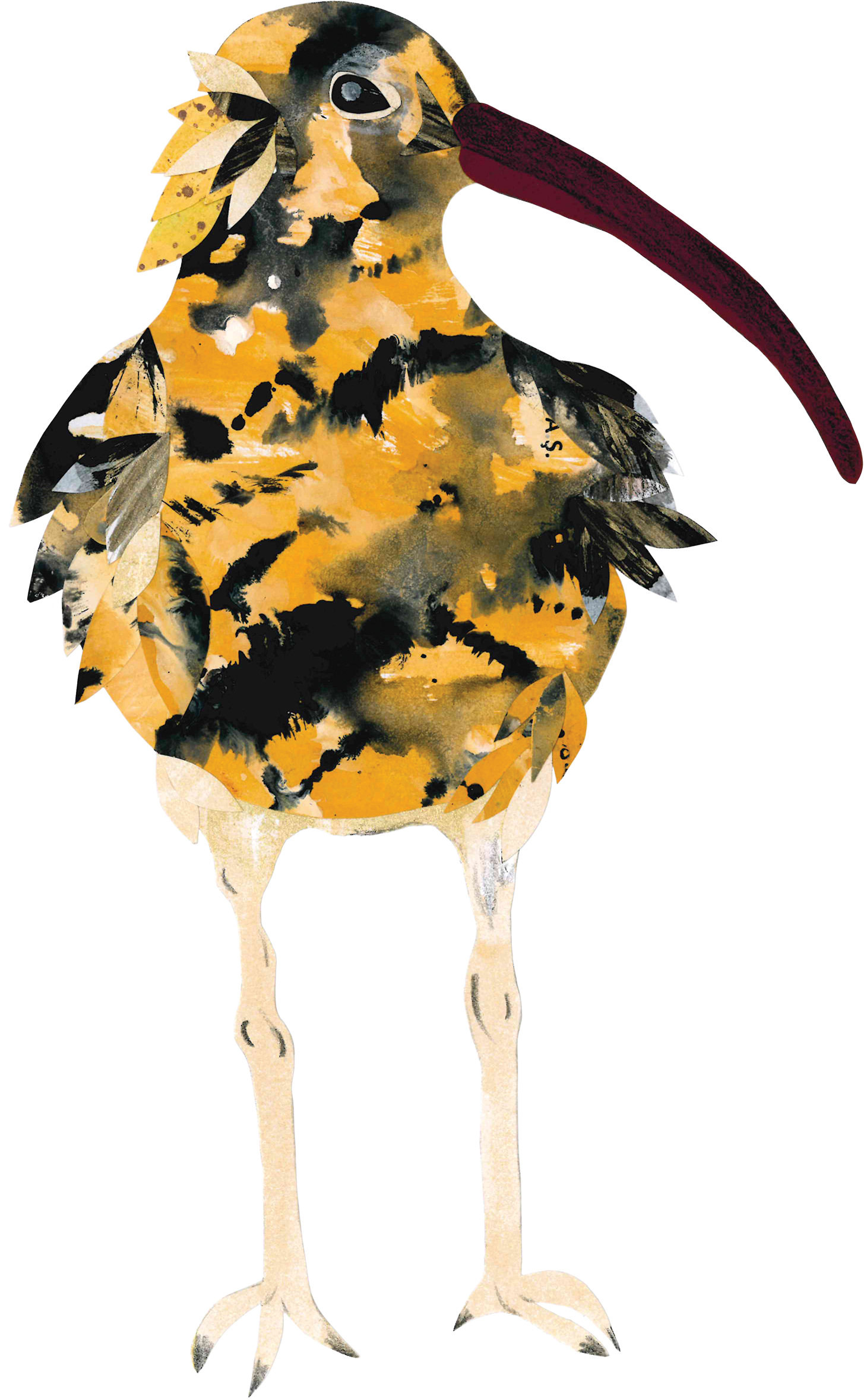 kus1.png