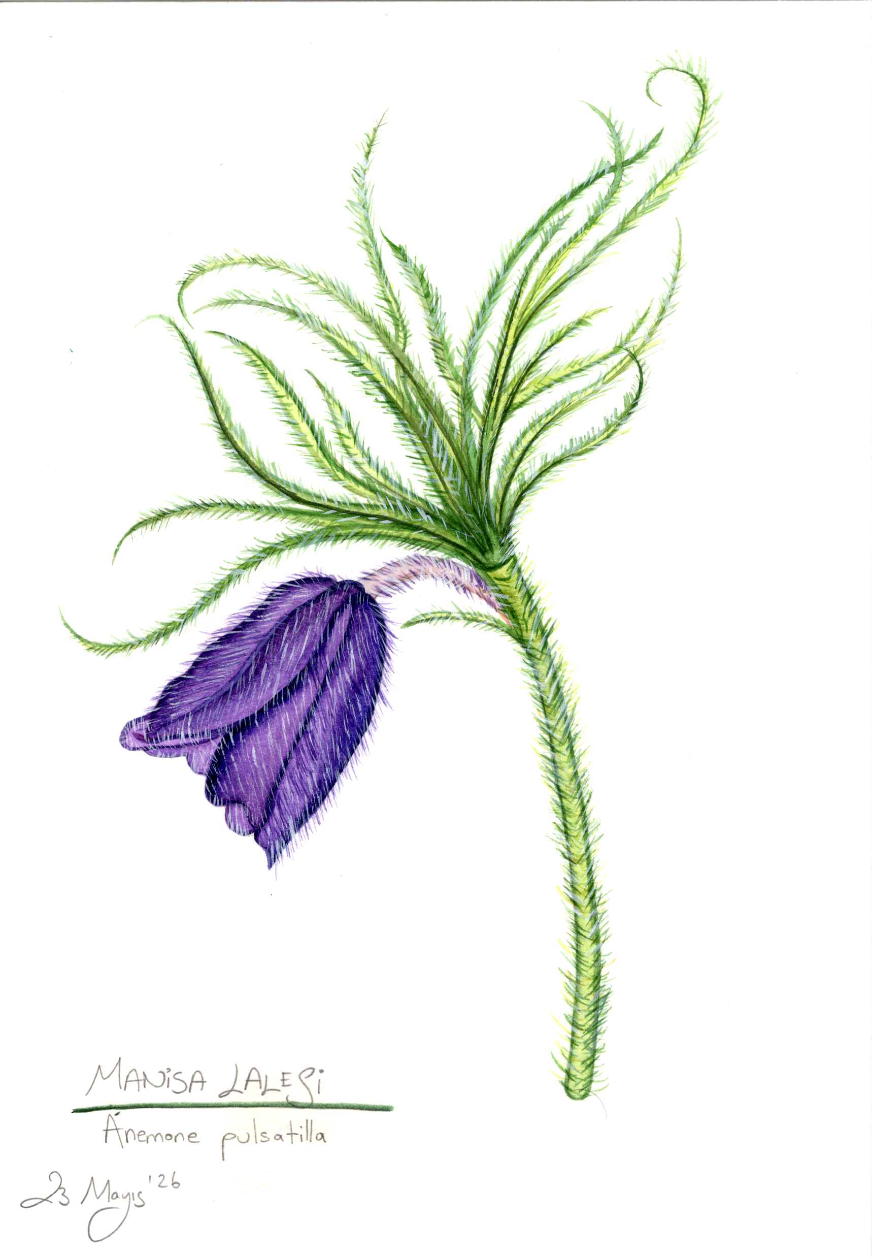 Image_20260523_0002.png