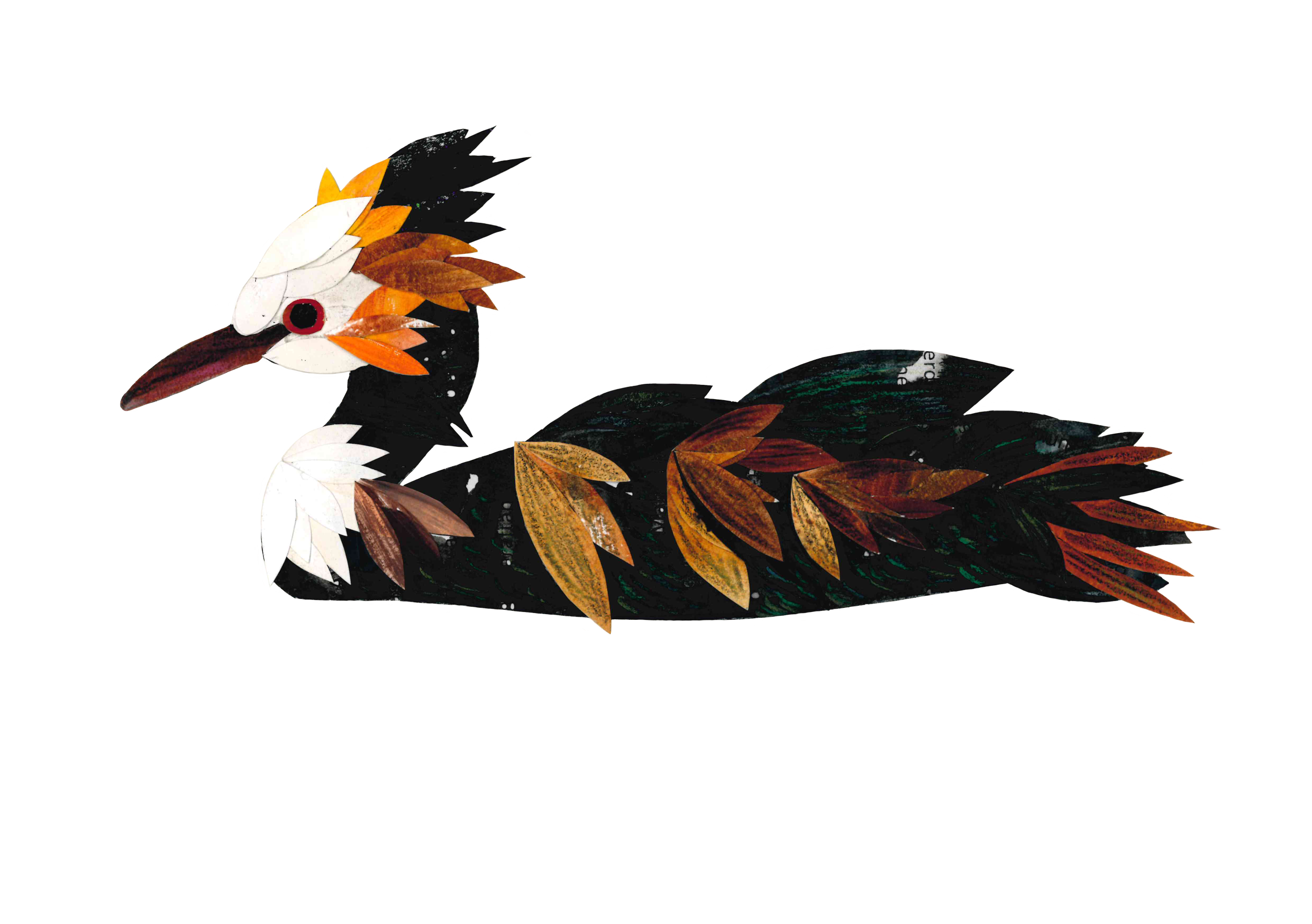 ordek.png