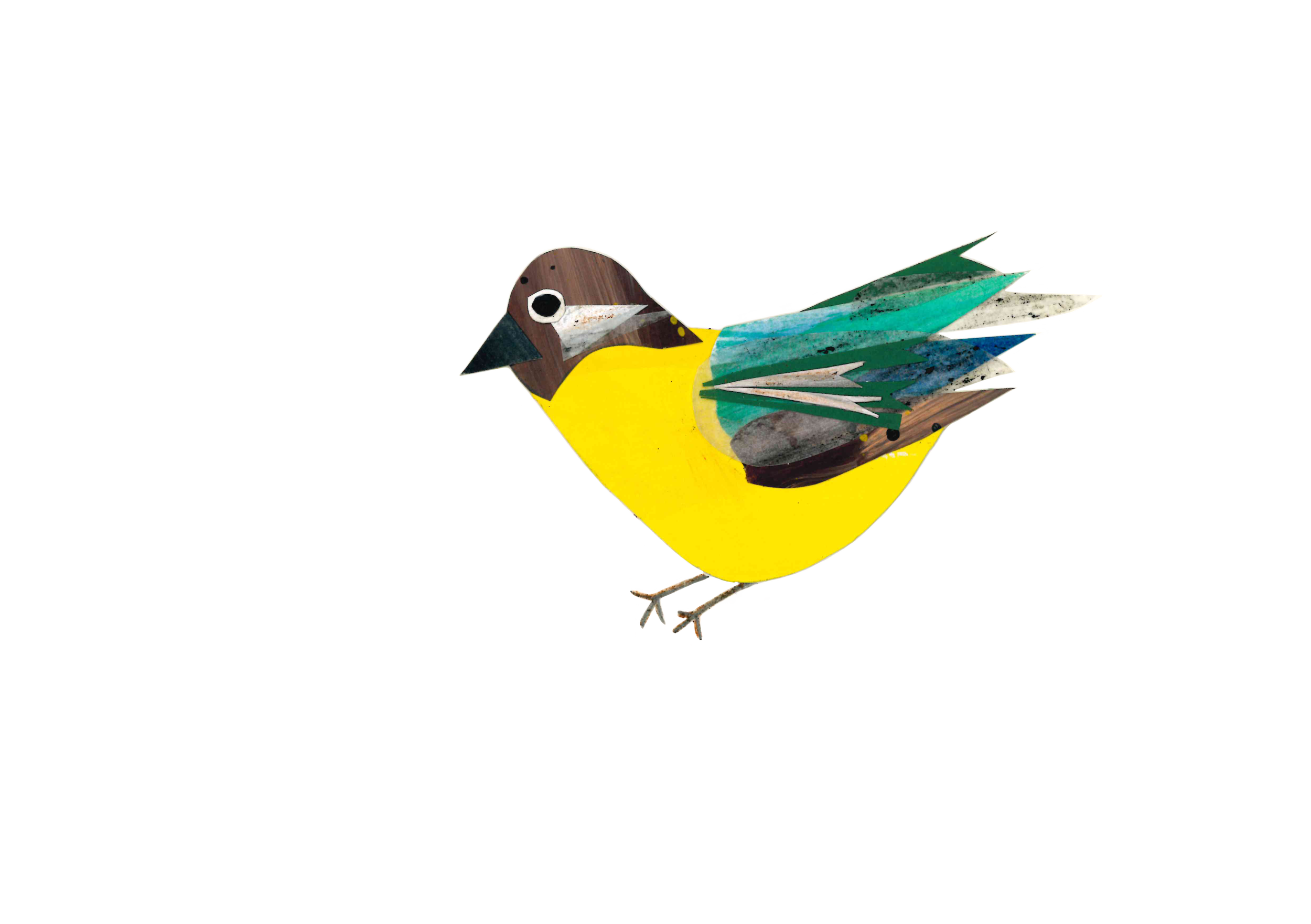 sari.png