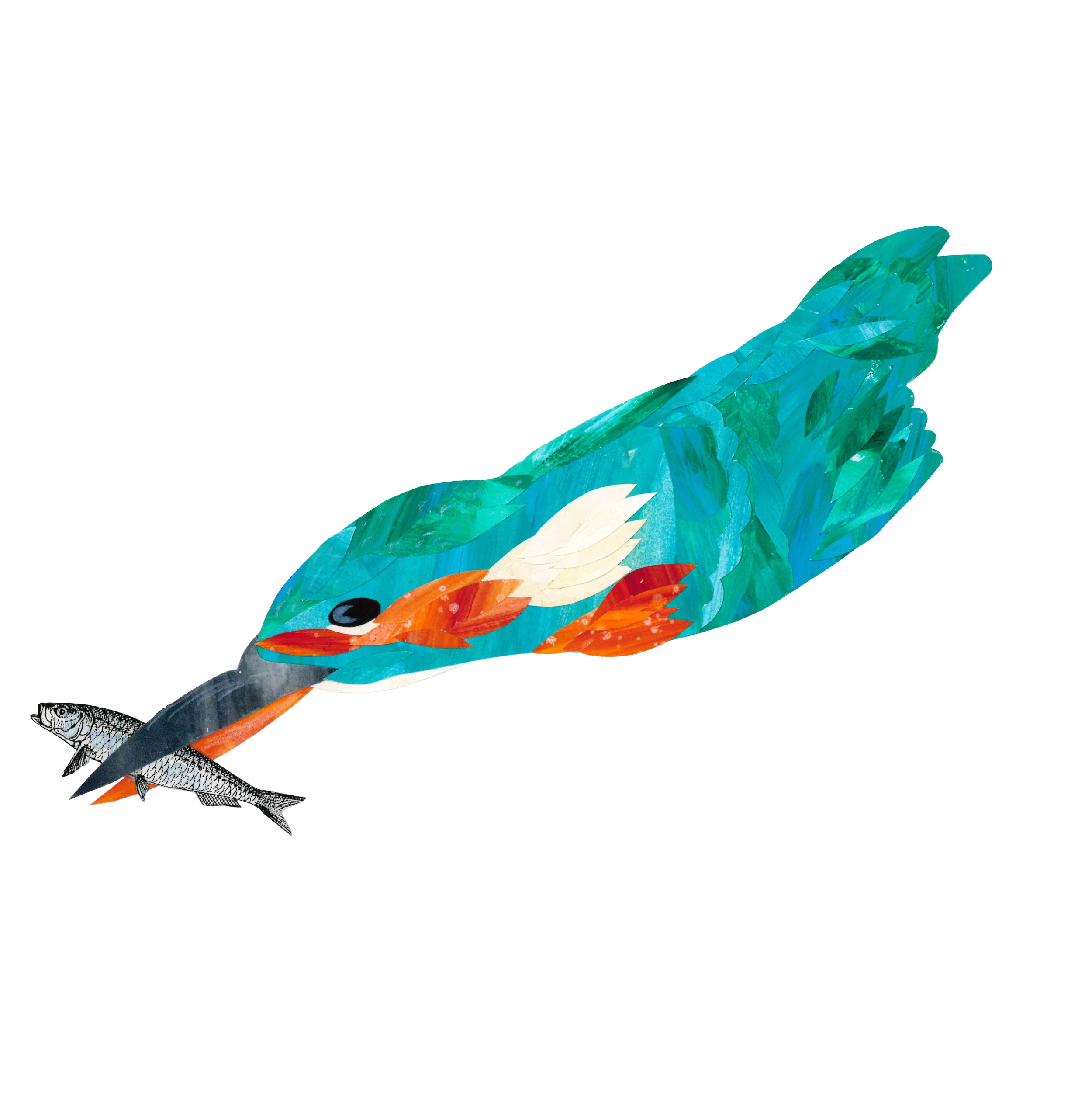 kfisher.png