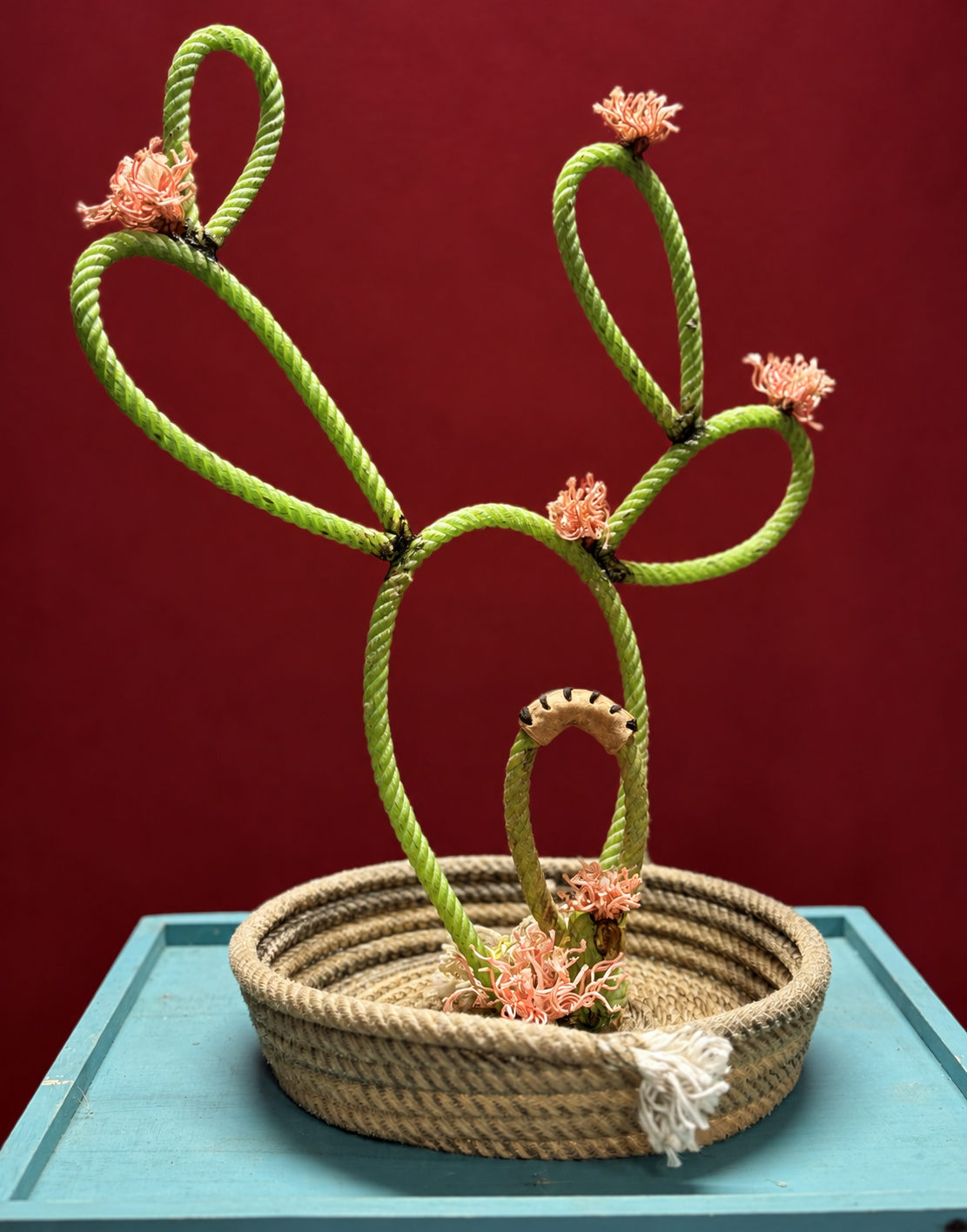 Lime Rope Cactus in Woven Basket.png