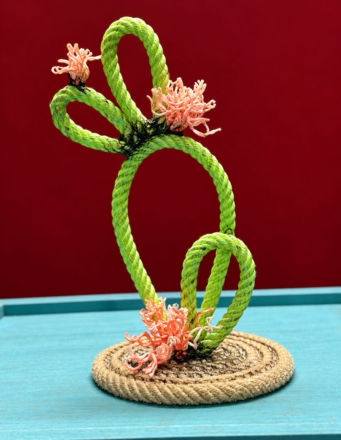 Small Handmade Lariat Rope Cactus